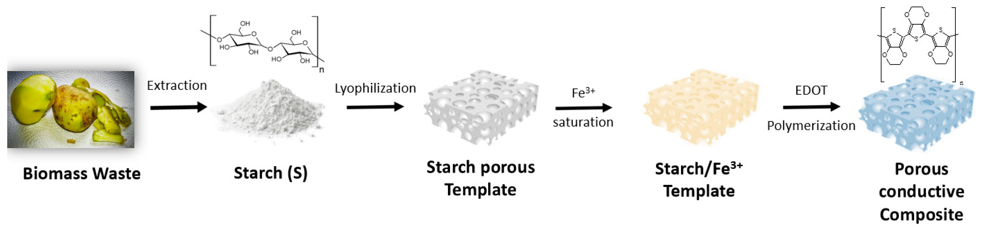 Polymers 15 02560 g001