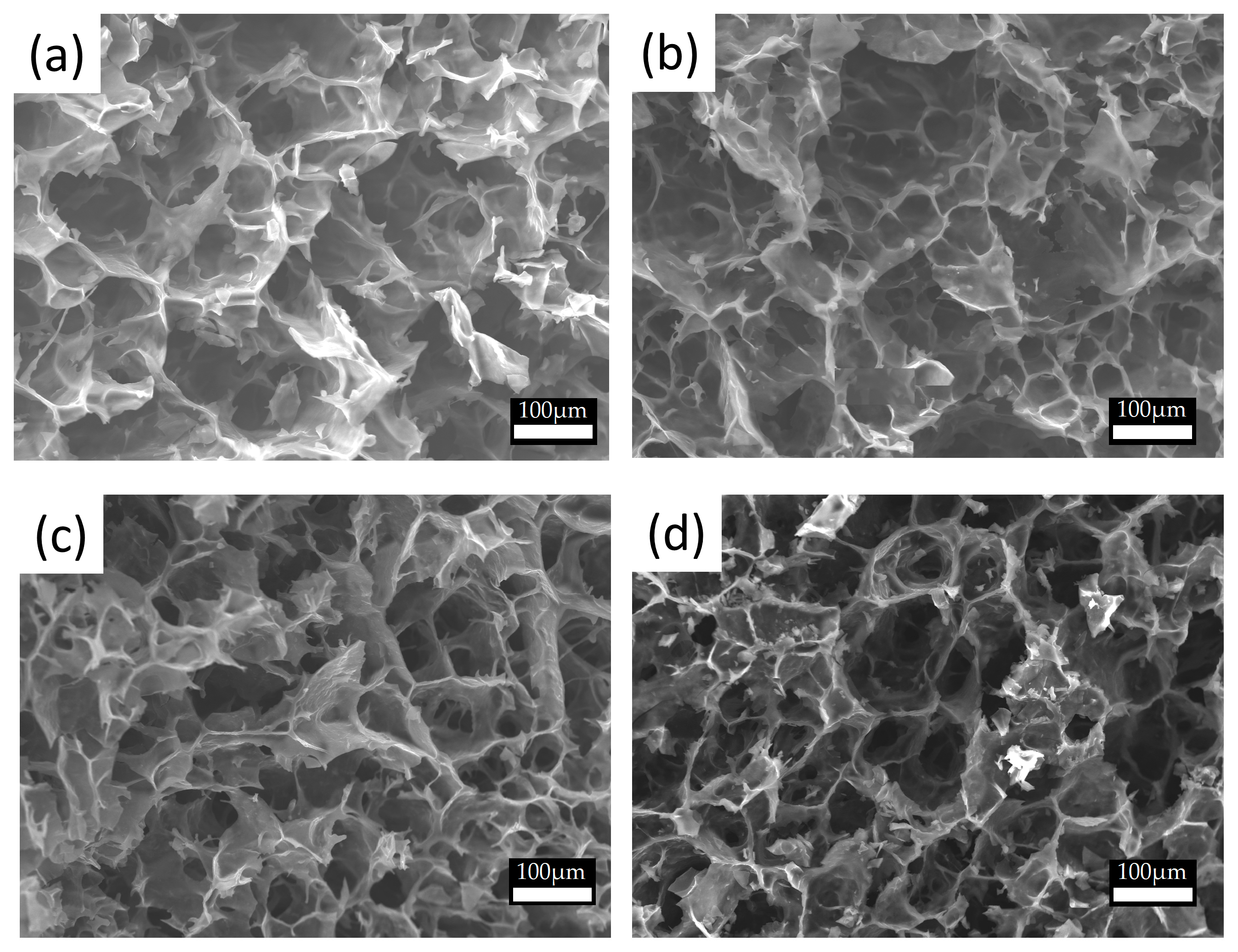 Polymers 15 02560 g004