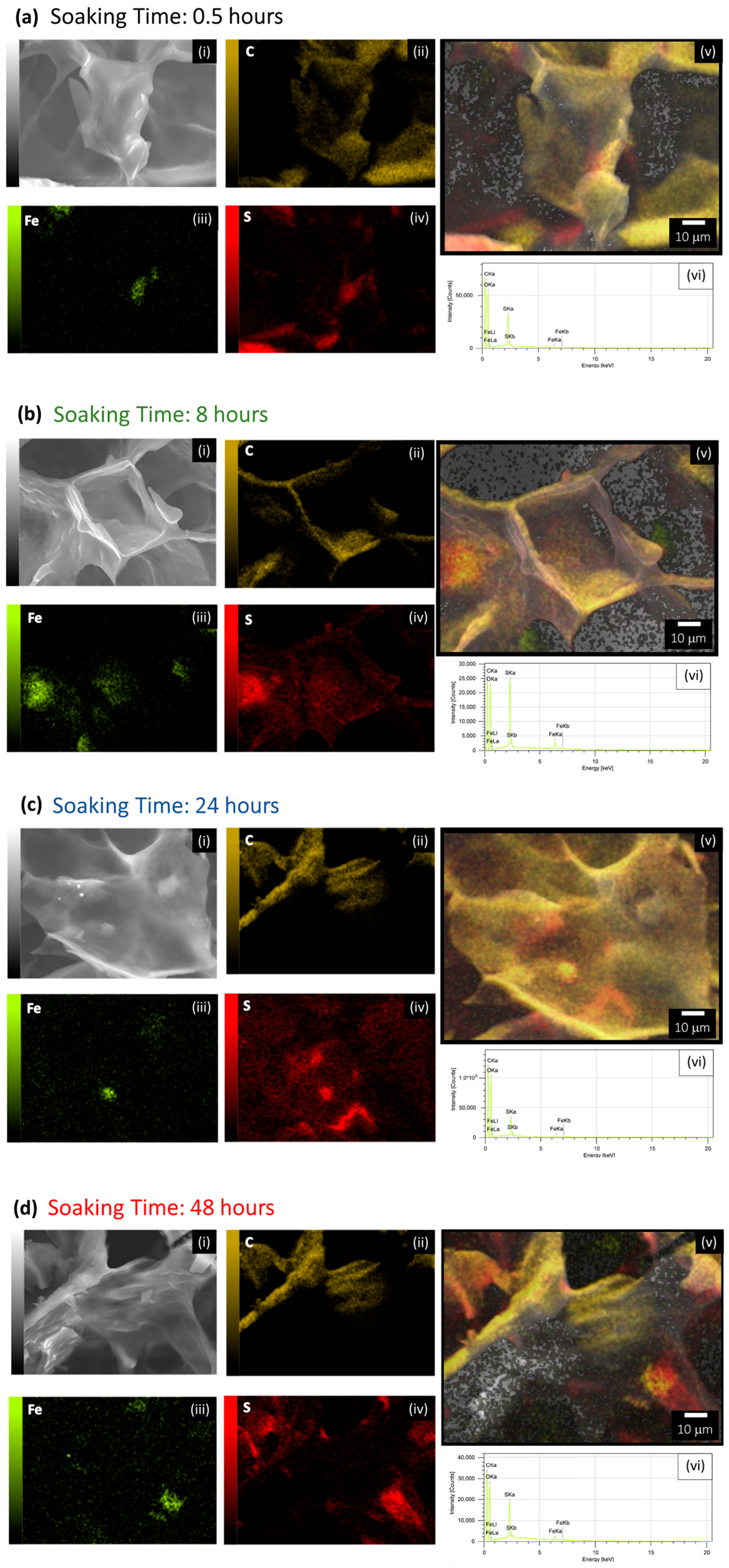 Polymers 15 02560 g005
