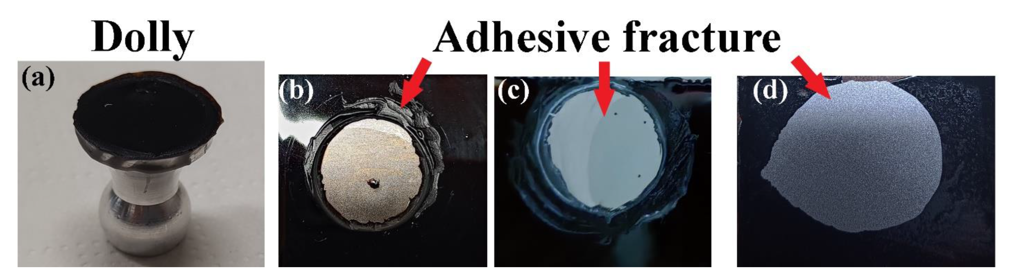 Polymers 15 02561 g007