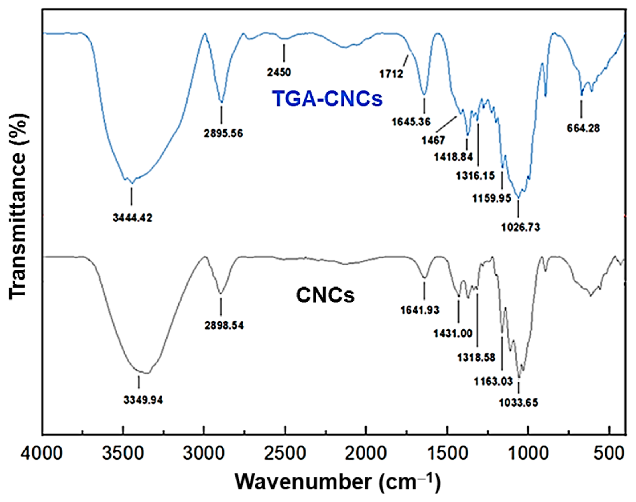 Polymers 15 02562 g002