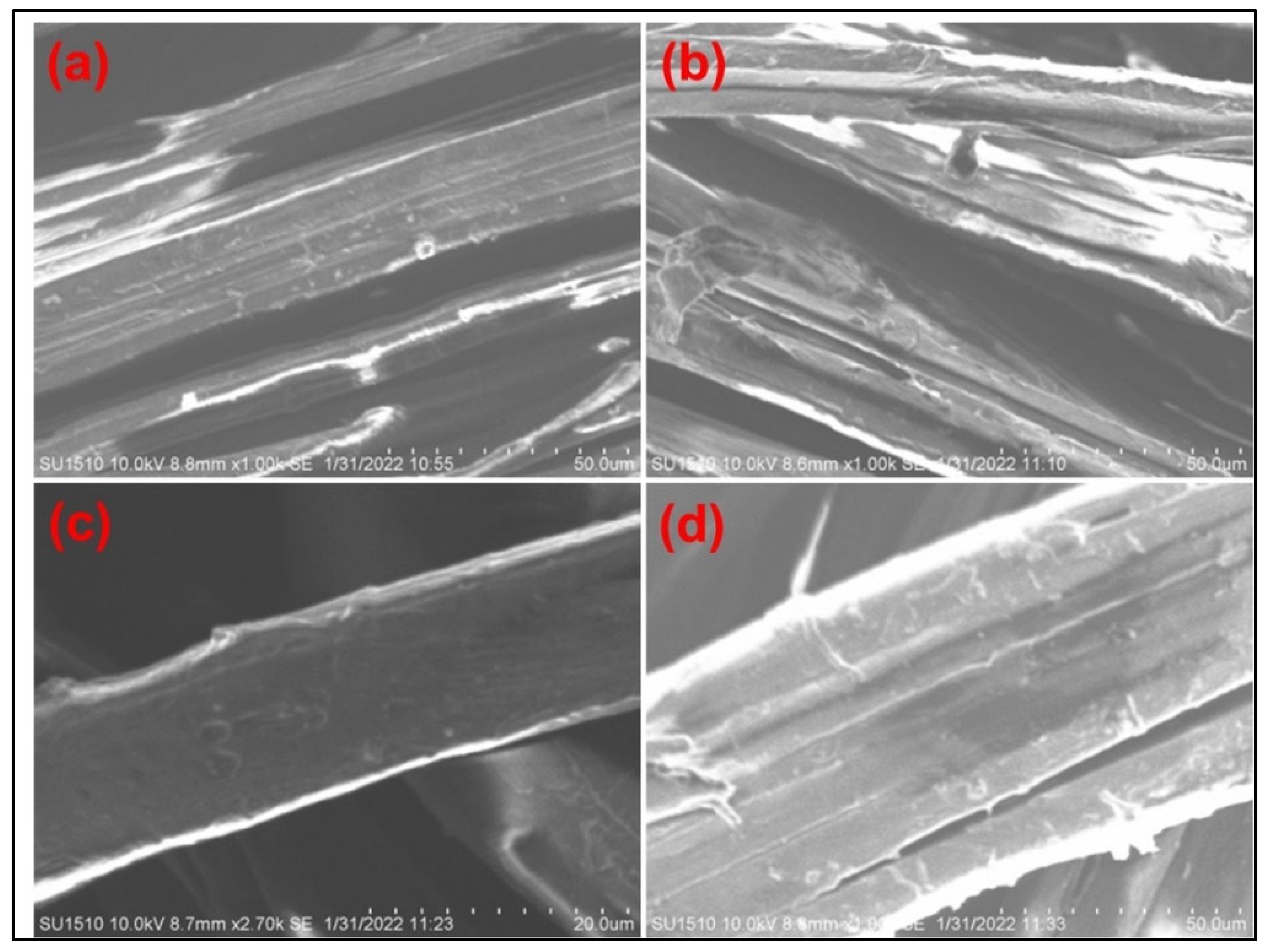 Polymers 15 02563 g007 Polymers 15 02563 g007