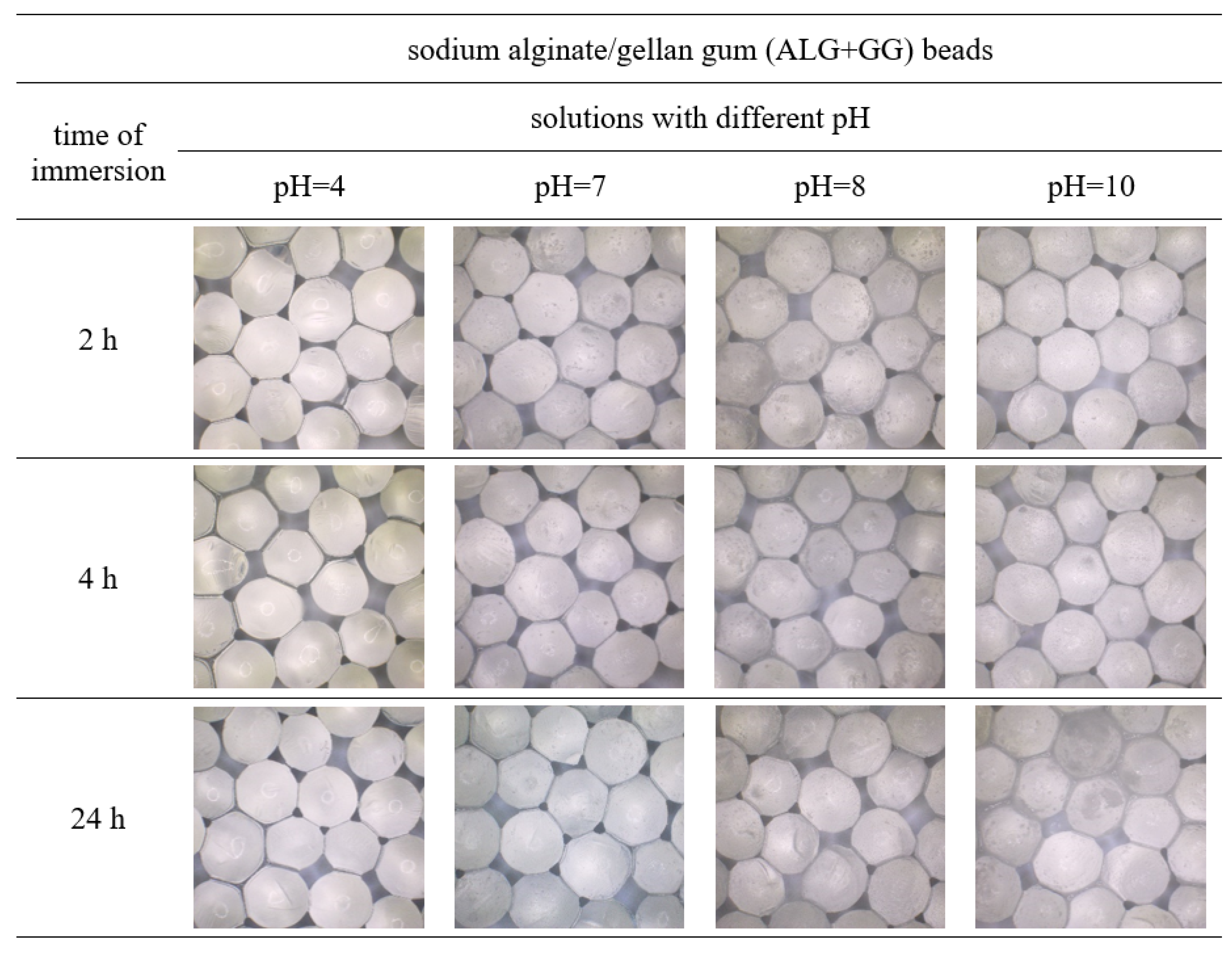 Polymers 15 02568 g005 Polymers 15 02568 g005