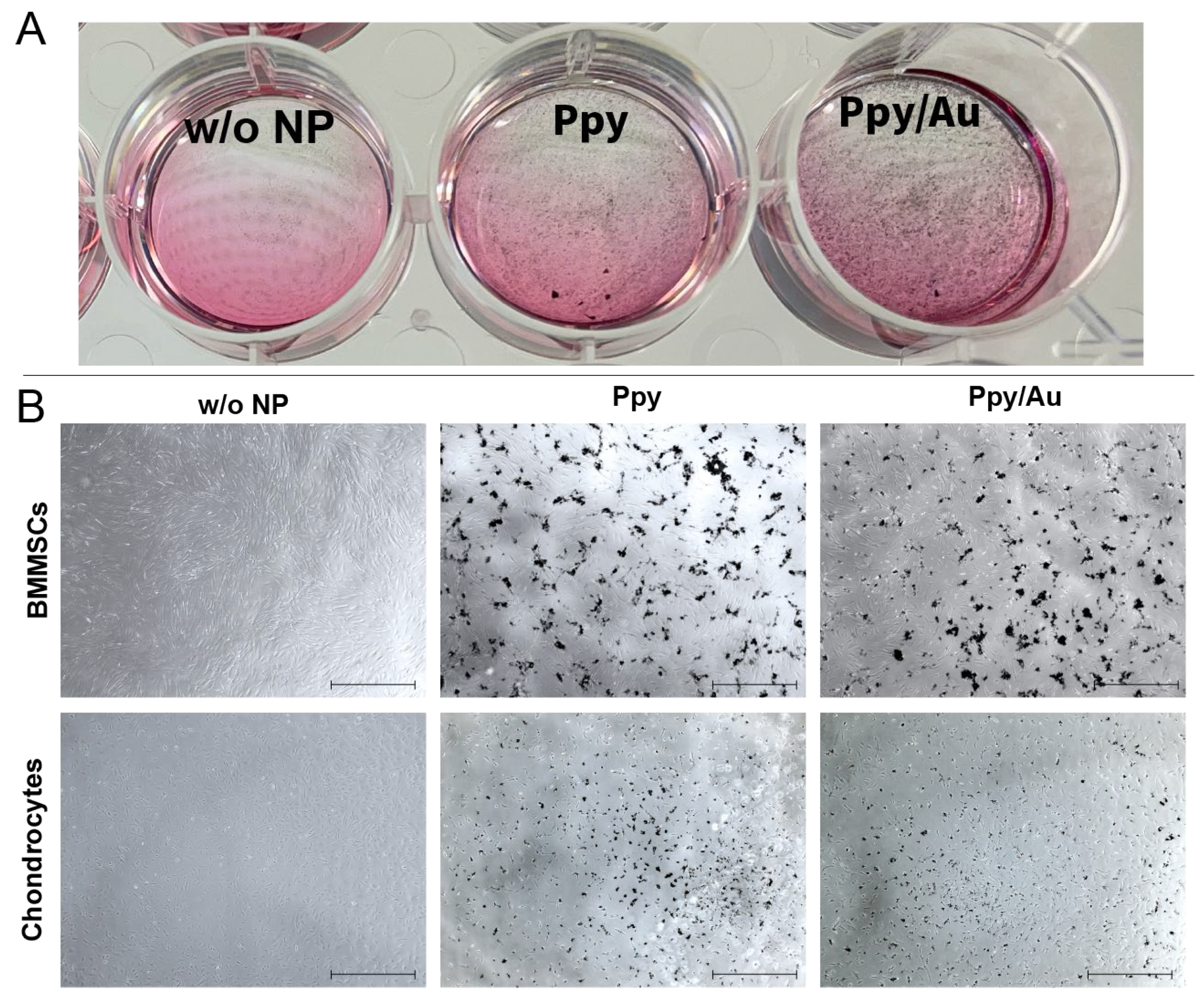 Polymers 15 02571 g003 Polymers 15 02571 g003