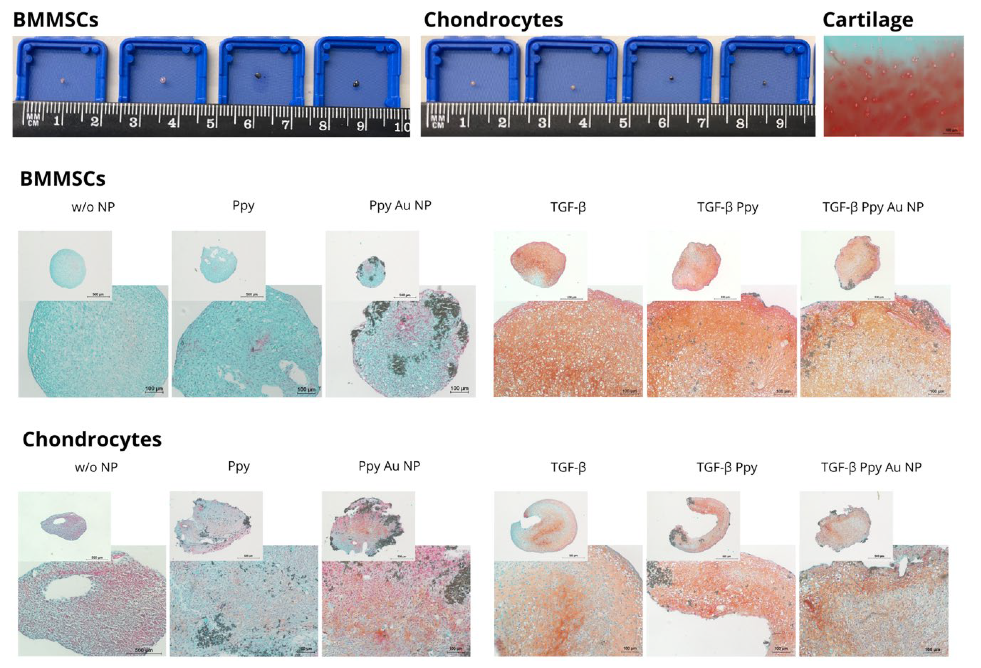 Polymers 15 02571 g008 Polymers 15 02571 g008