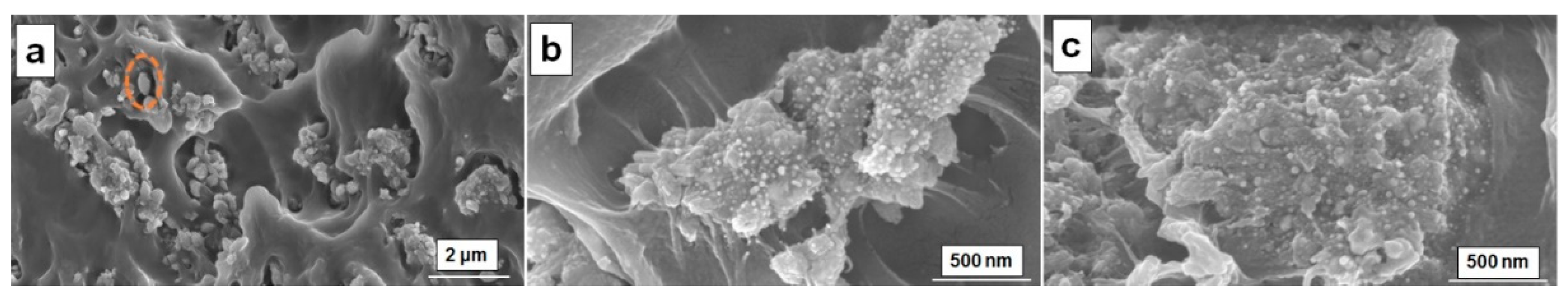 Polymers 15 02573 g004 Polymers 15 02573 g004