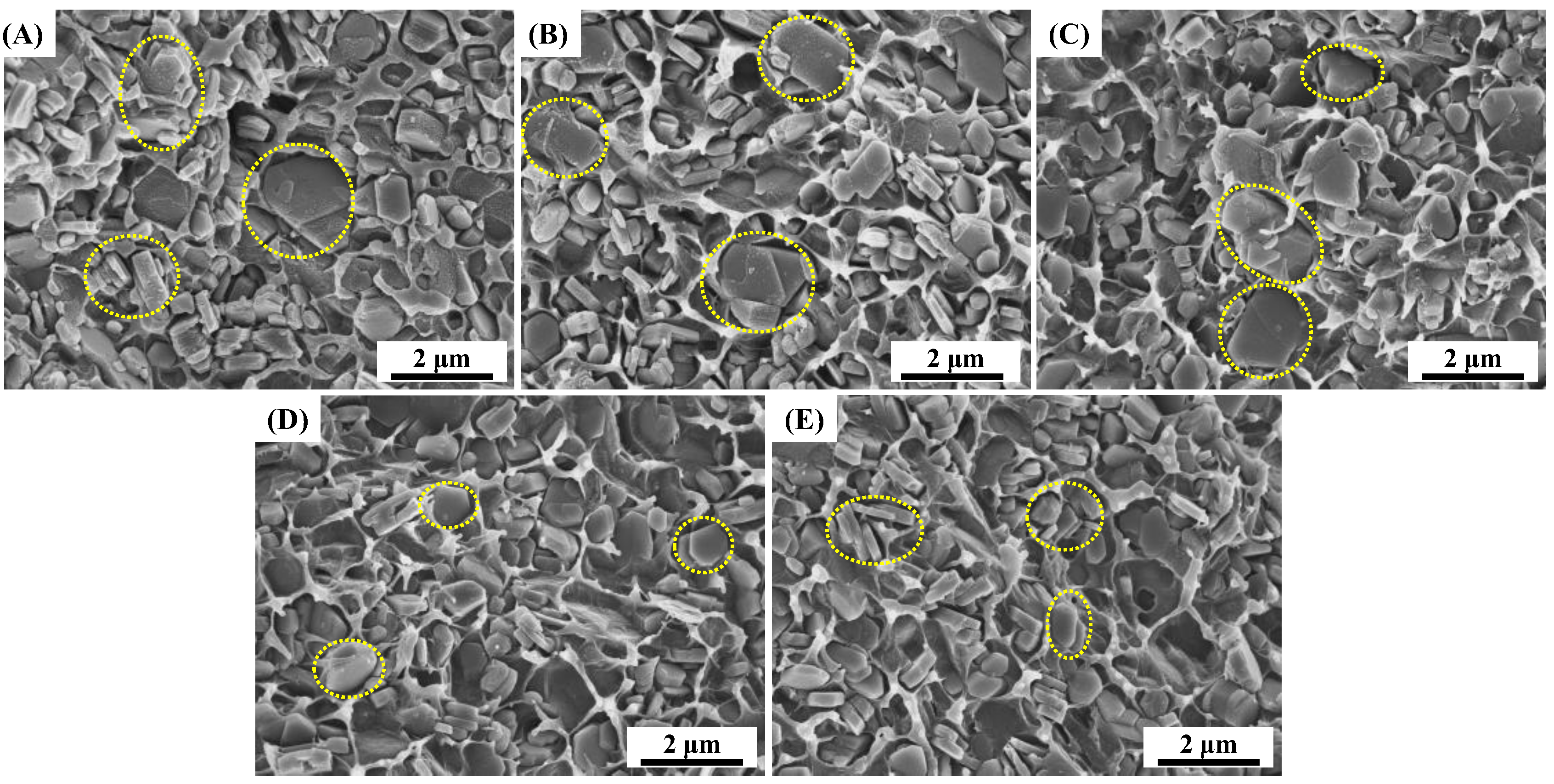 Polymers 15 02575 g005