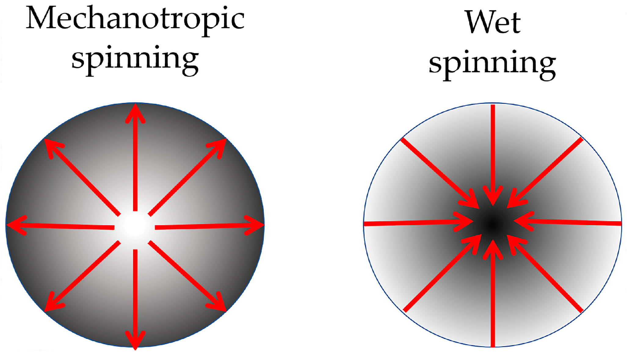 Polymers 15 02579 g006