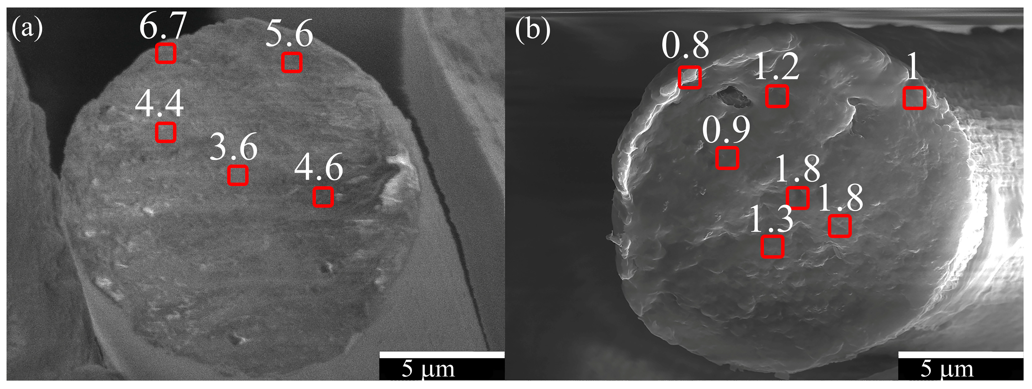 Polymers 15 02579 g012