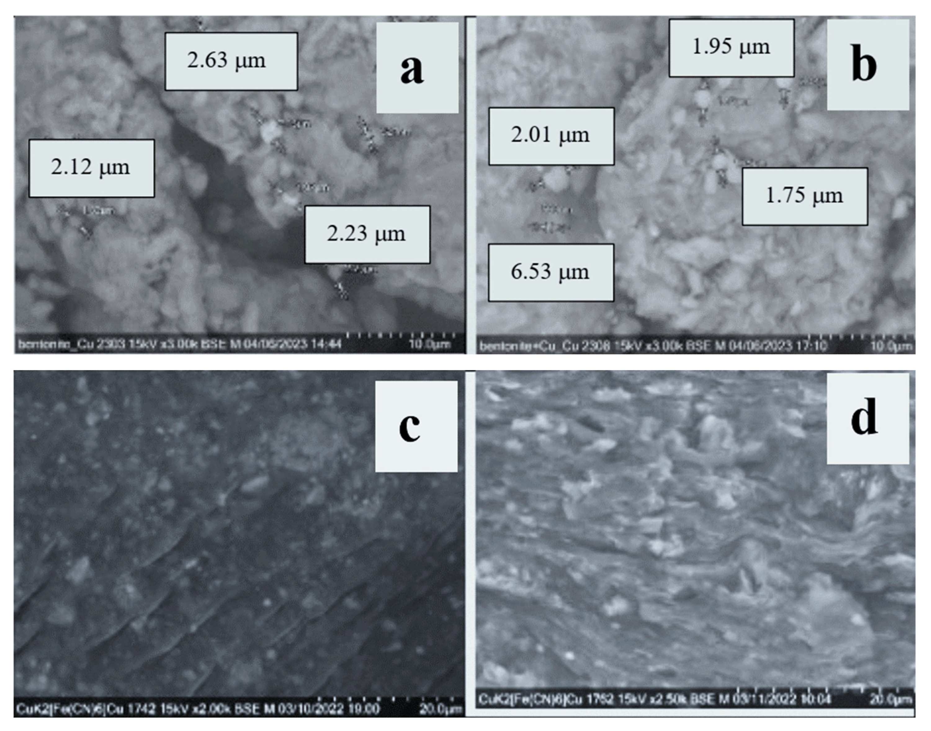 Polymers 15 02586 g004