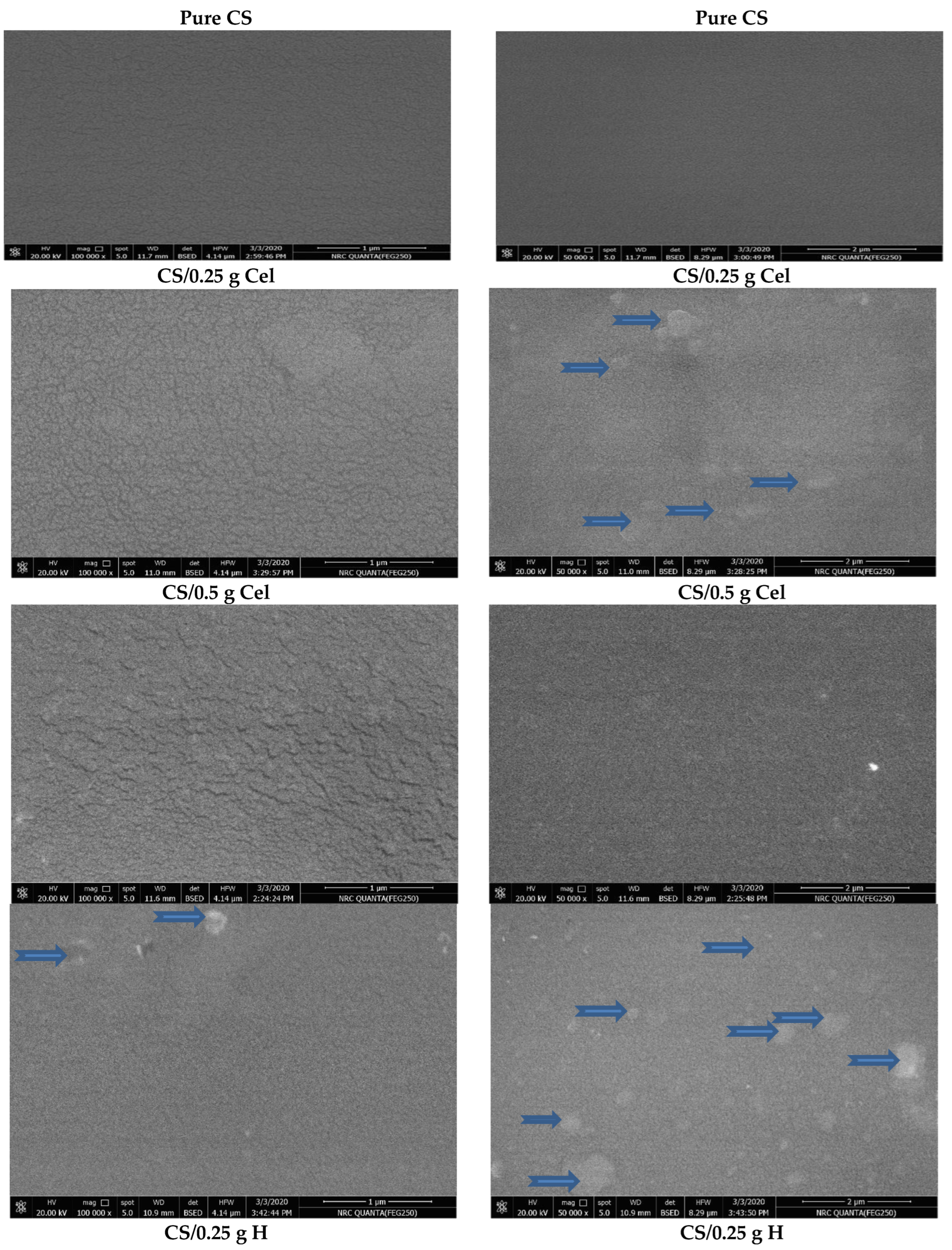 Polymers 15 02587 g009a