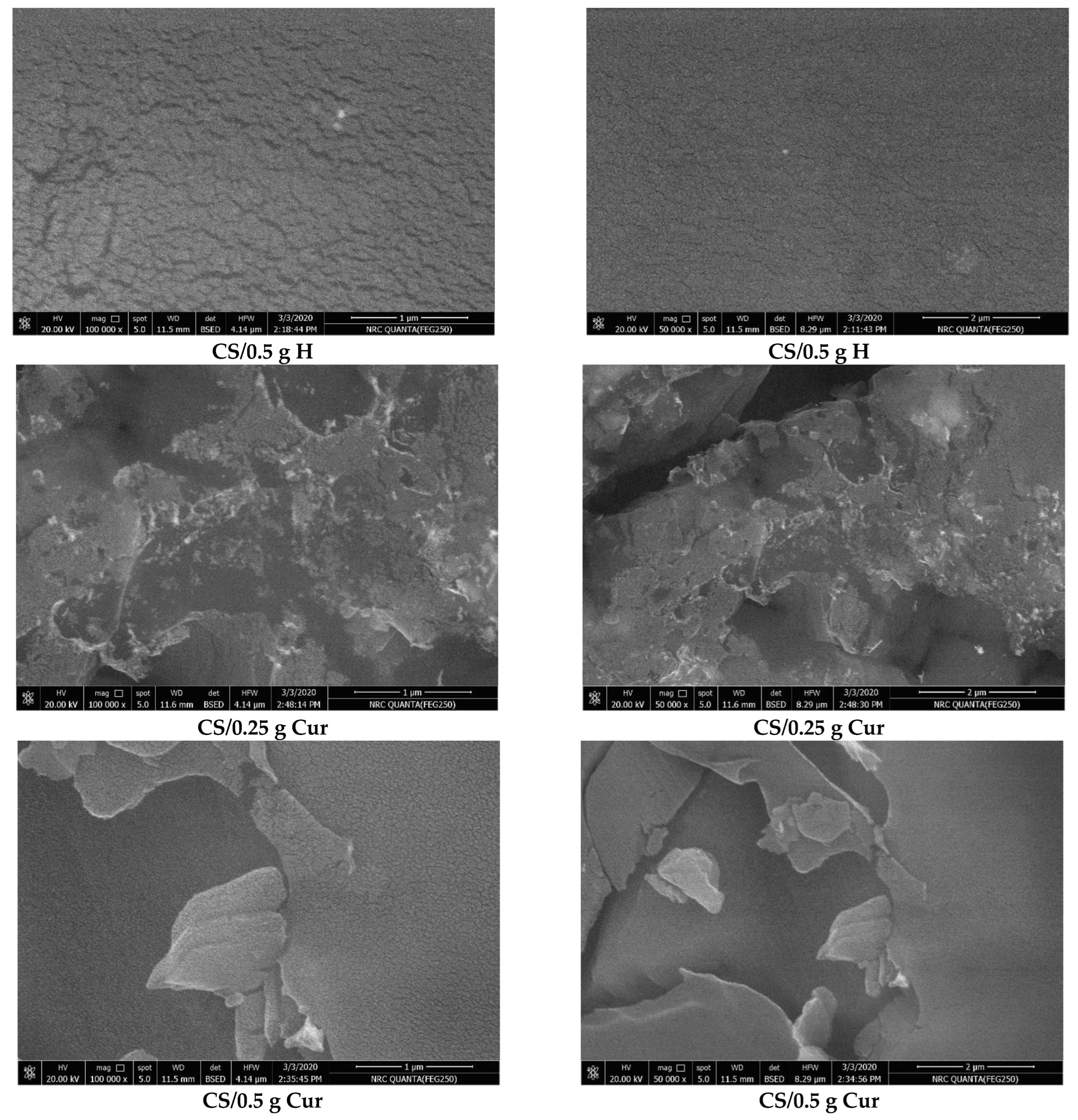 Polymers 15 02587 g009b