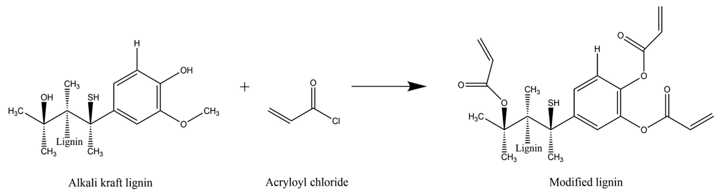 Polymers 15 02588 g001
