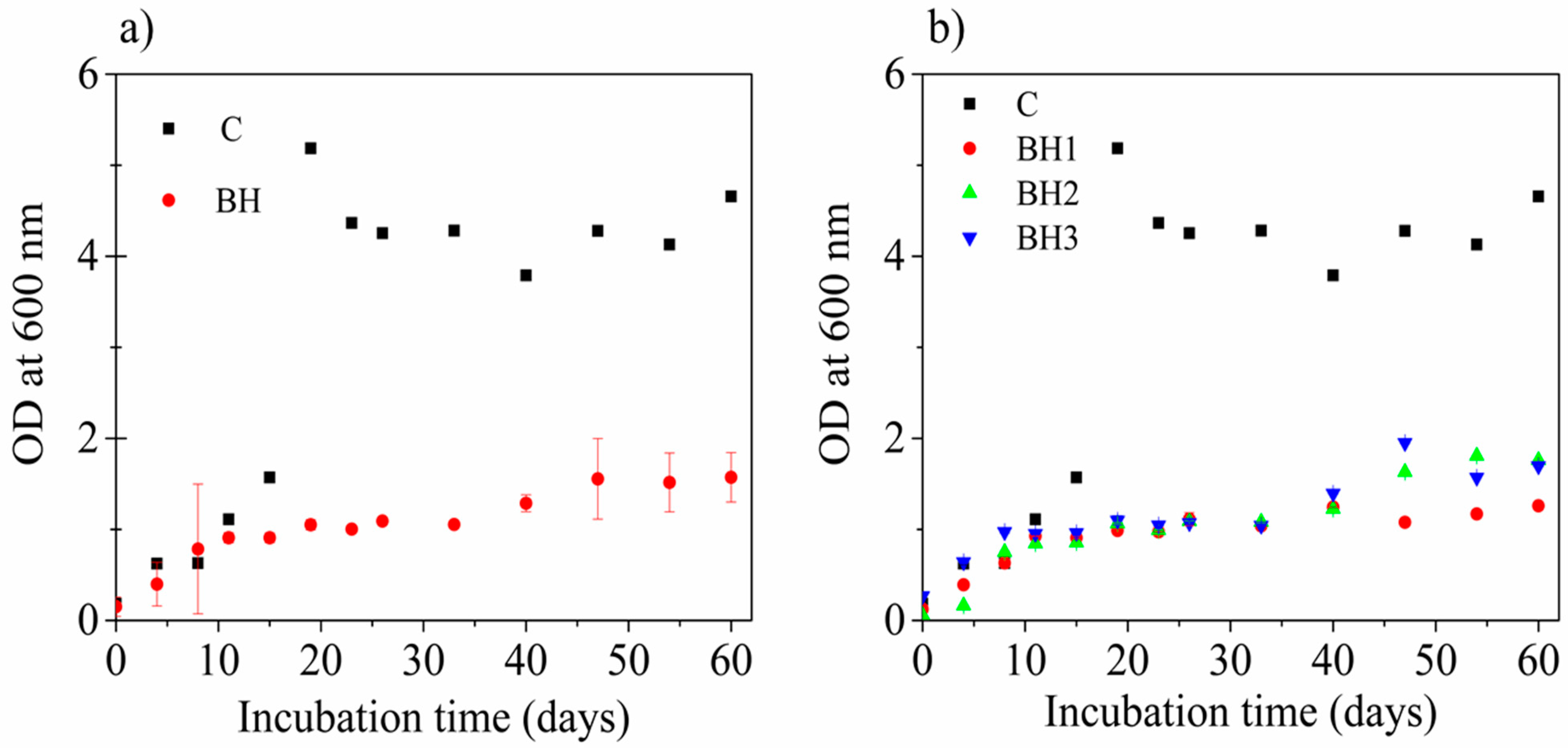 Polymers 15 02588 g003