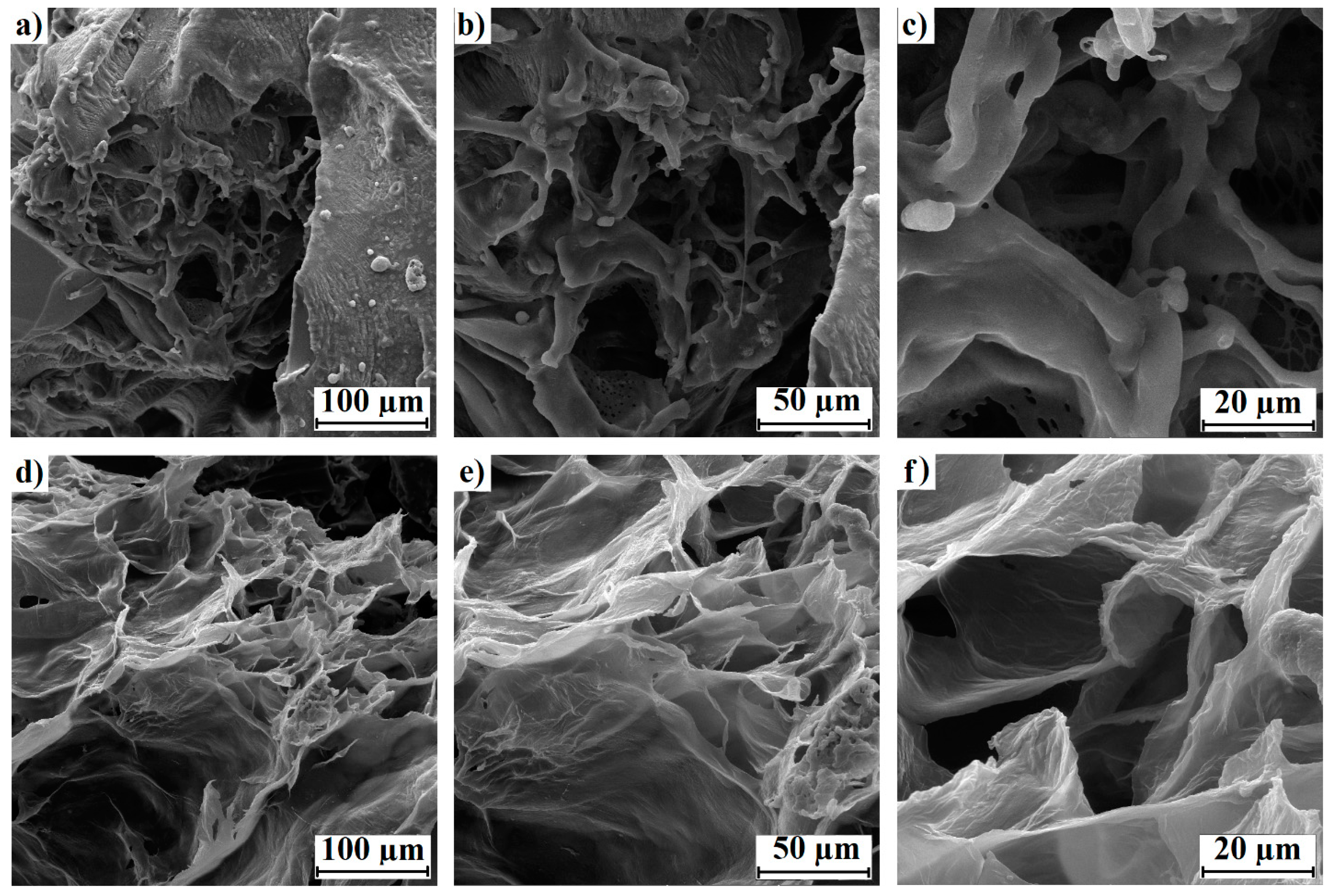 Polymers 15 02588 g006