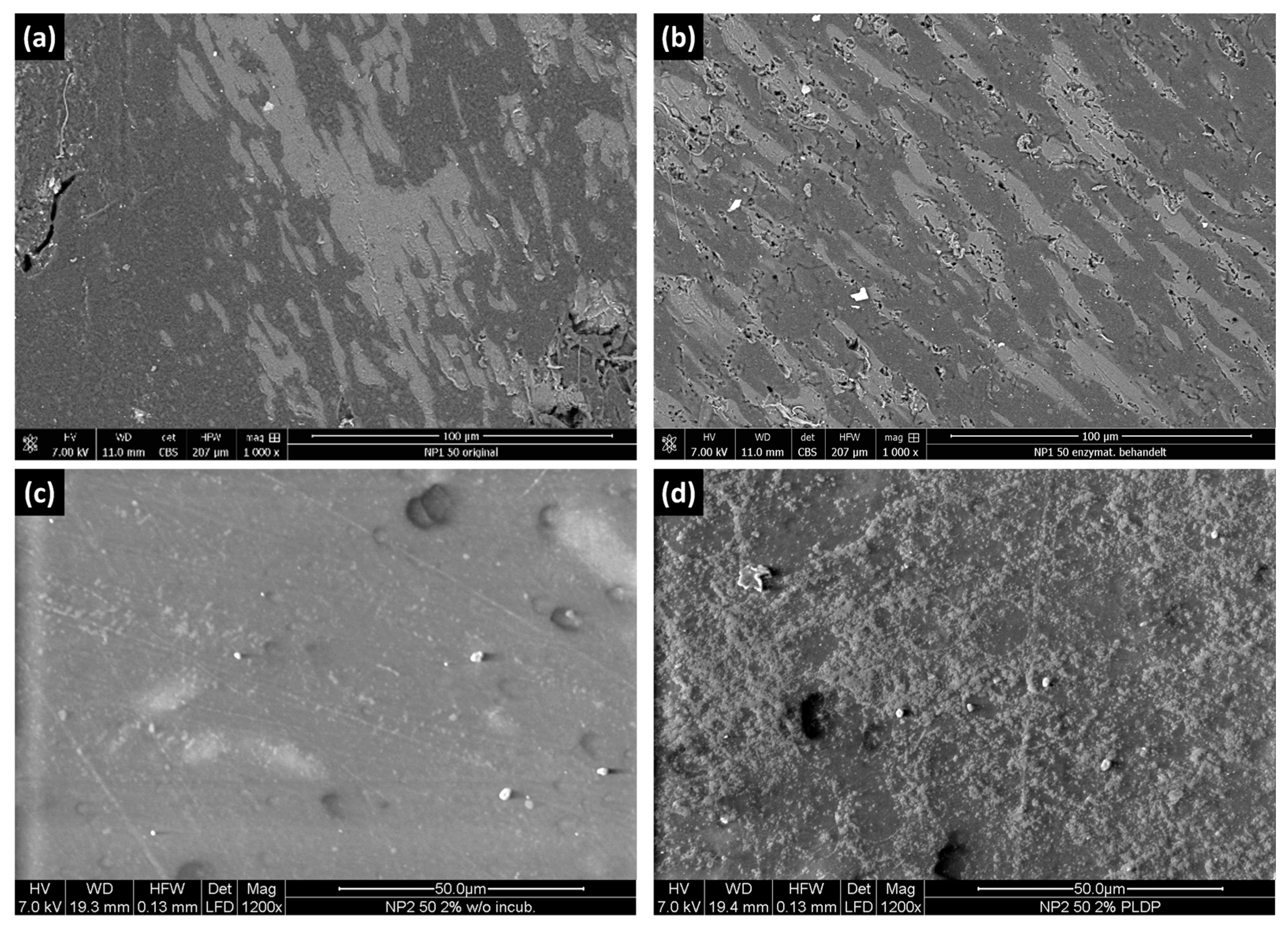 Polymers 15 02593 g006
