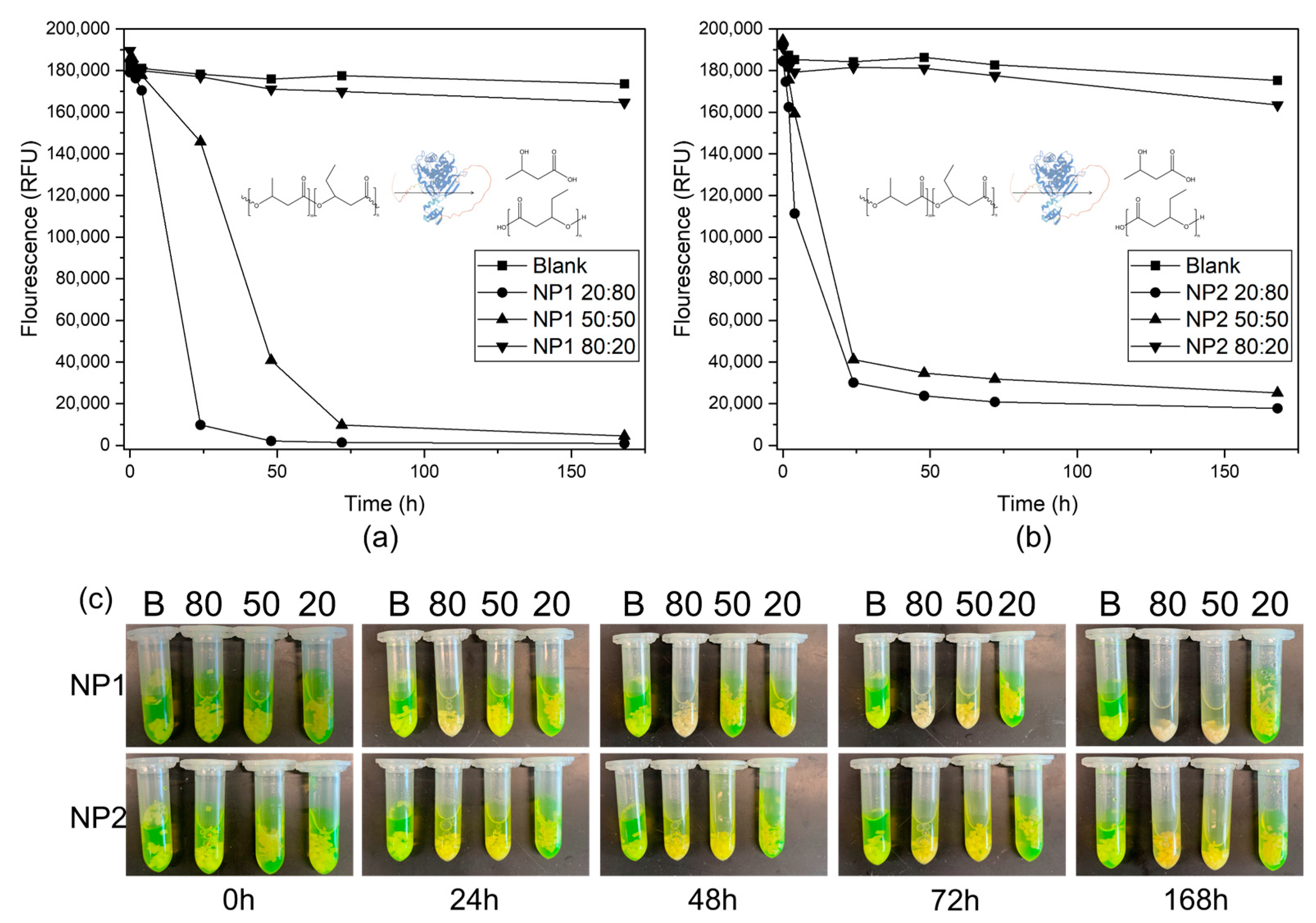 Polymers 15 02593 g009