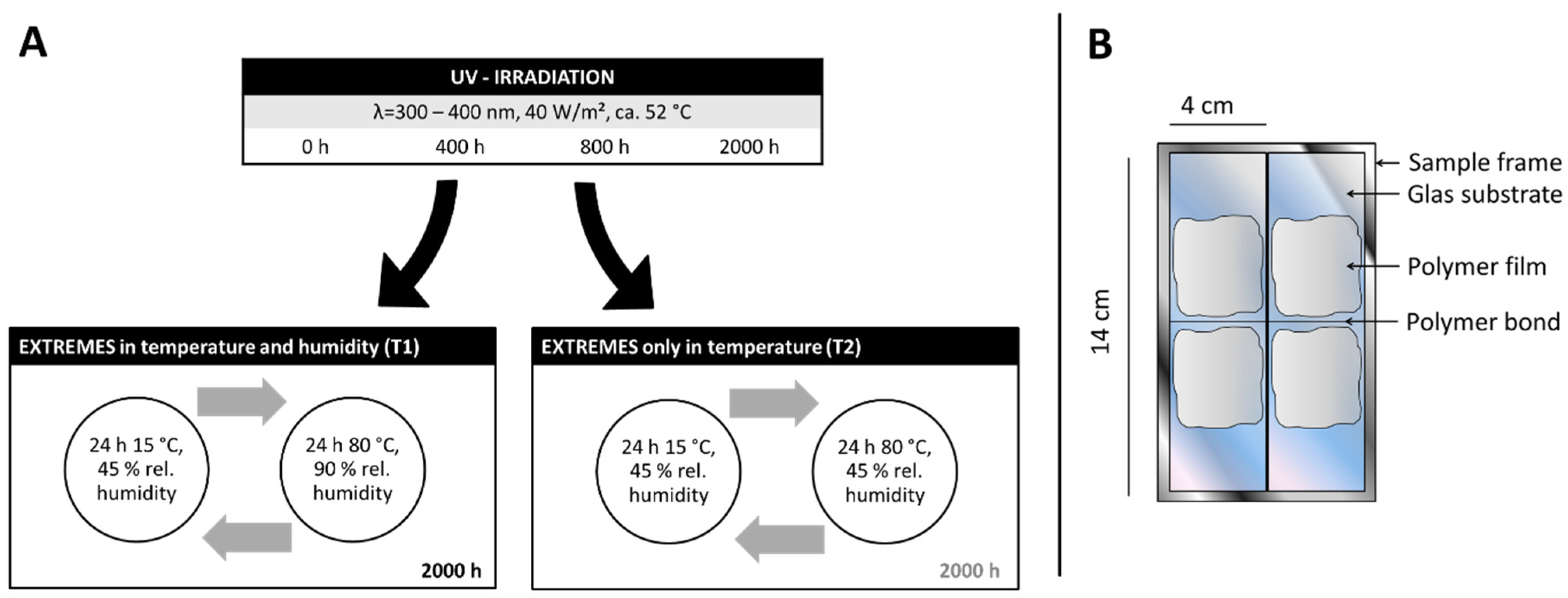 Polymers 15 02595 g005