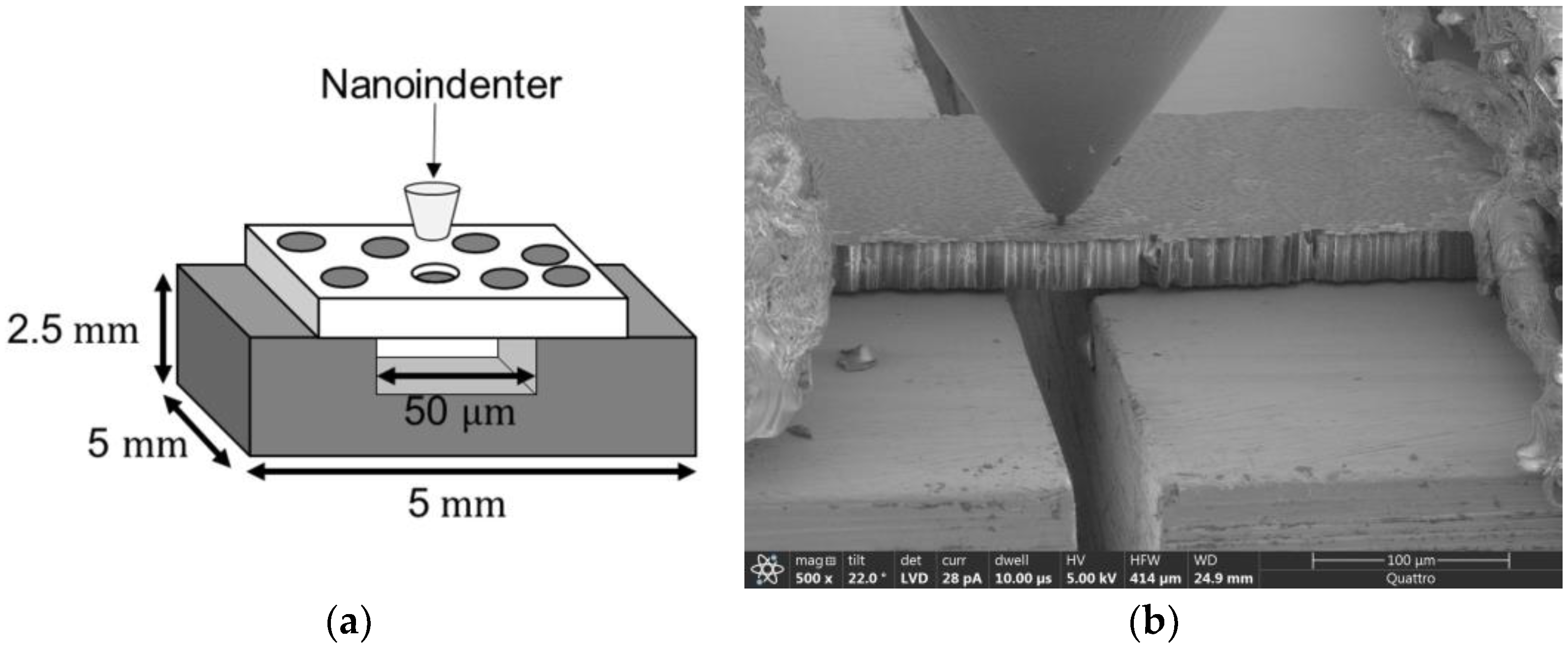 Polymers 15 02596 g004 Polymers 15 02596 g004