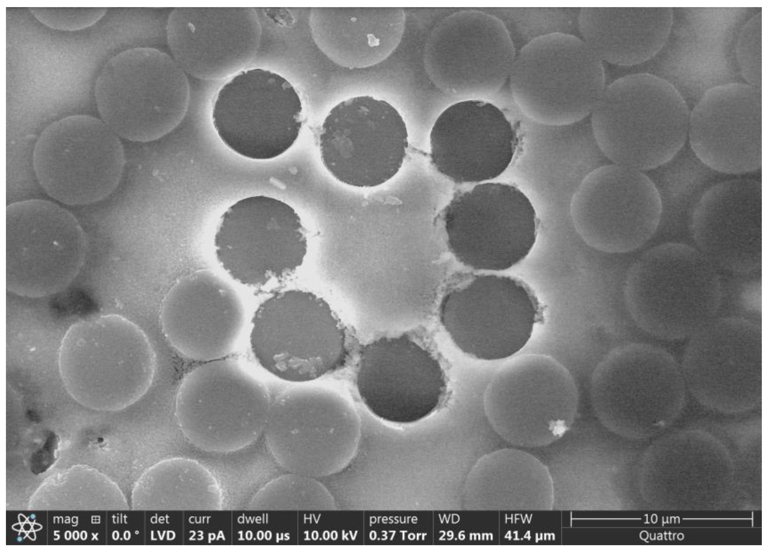 Polymers 15 02596 g011 Polymers 15 02596 g011