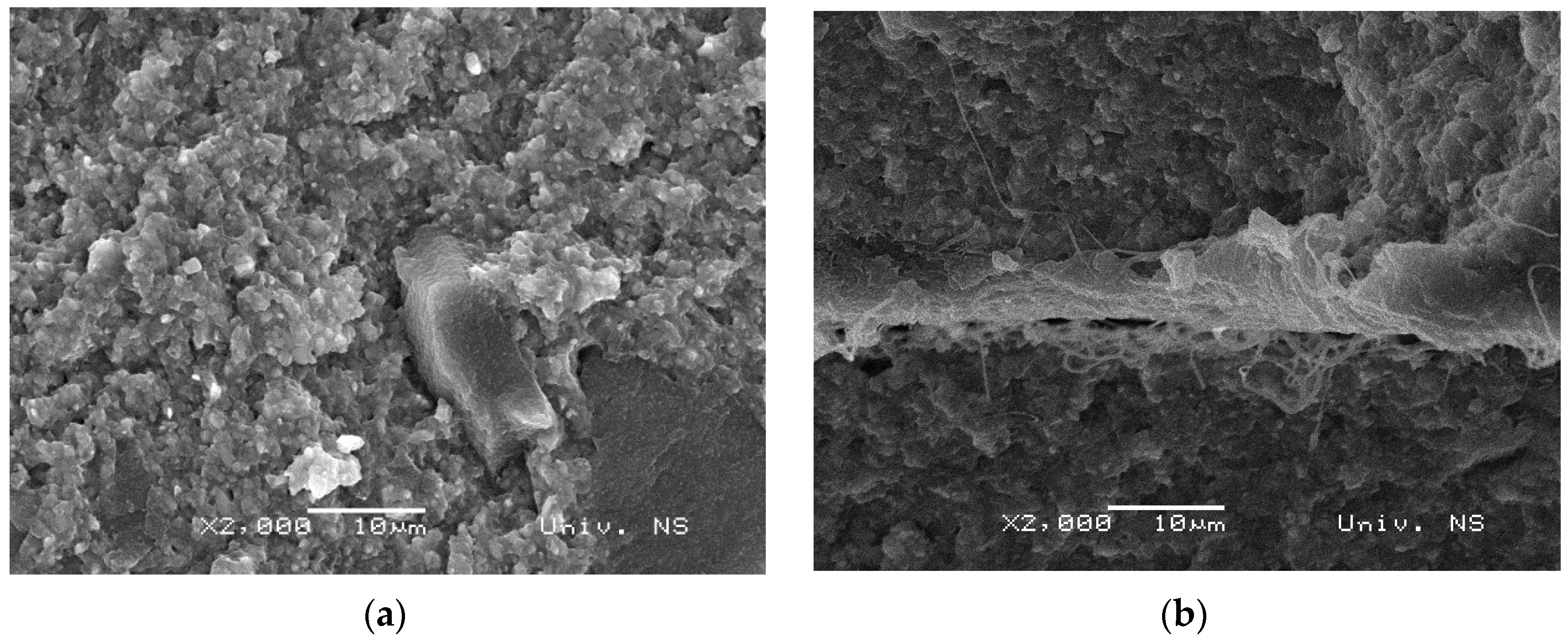 Polymers 15 02598 g002a
