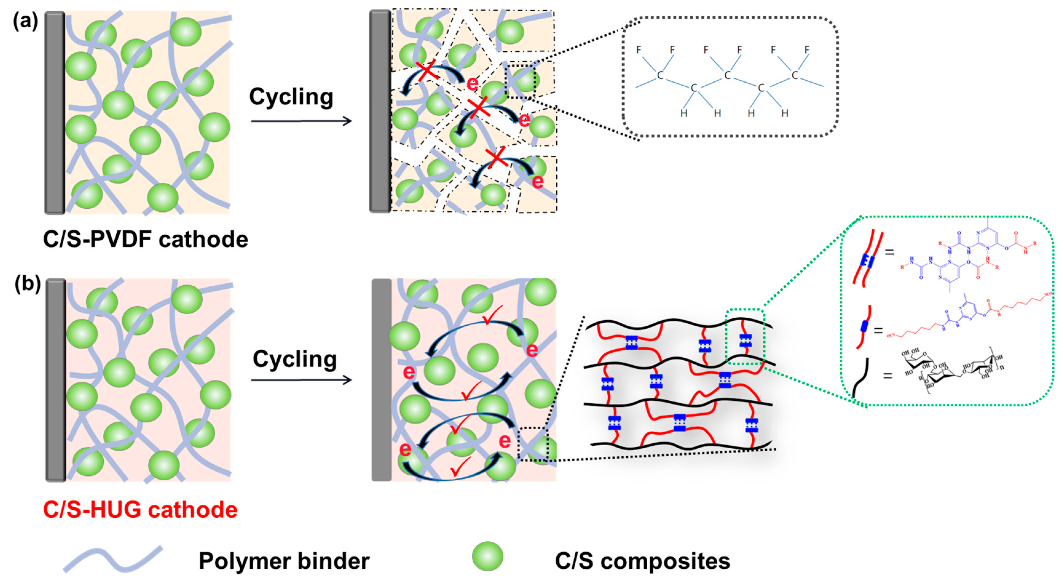 Polymers 15 02599 g001