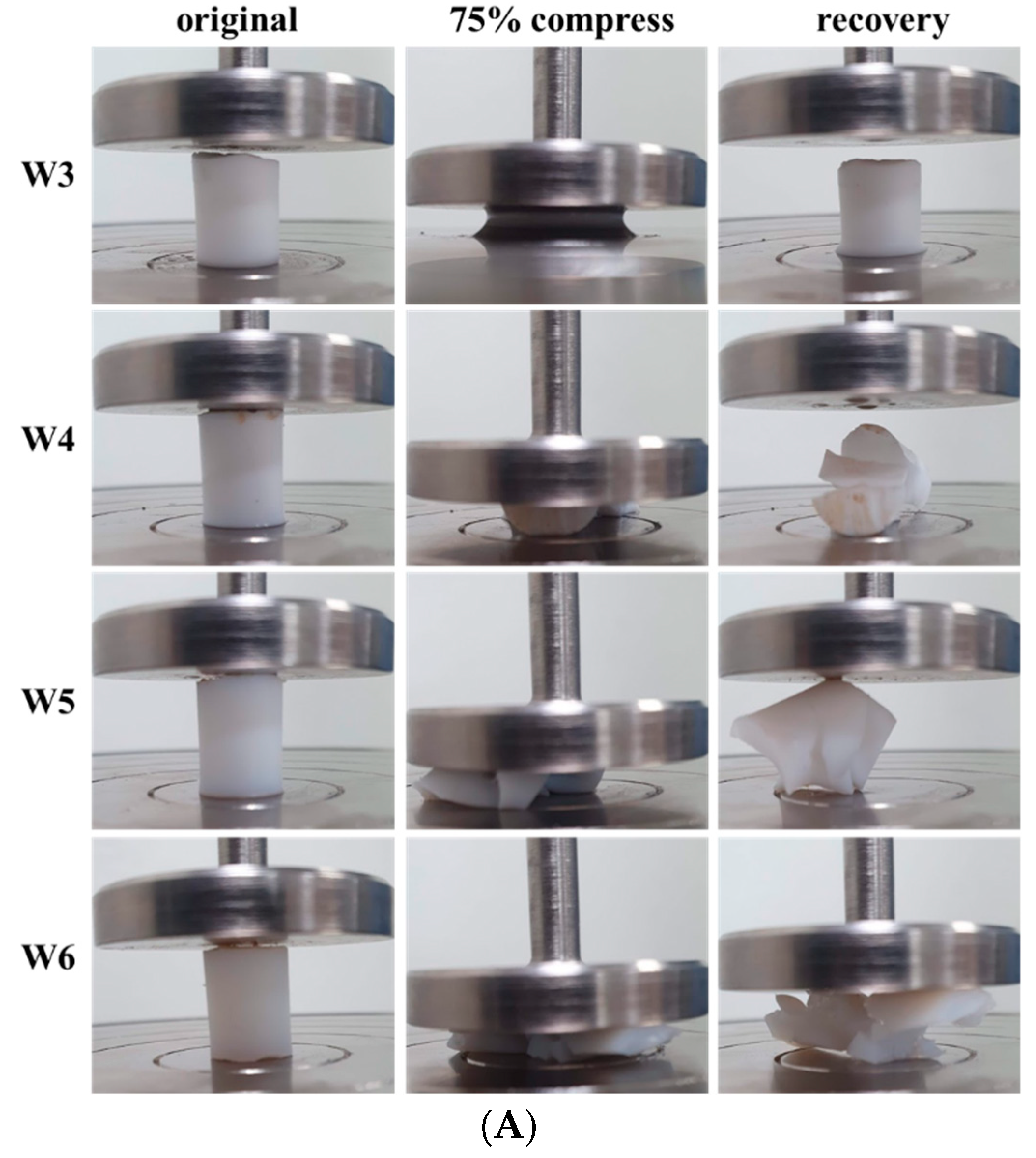 Polymers 15 02605 g004a
