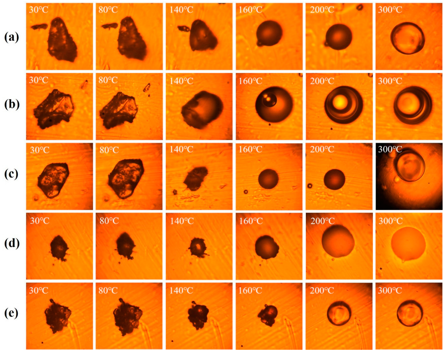 Polymers 15 02609 g004