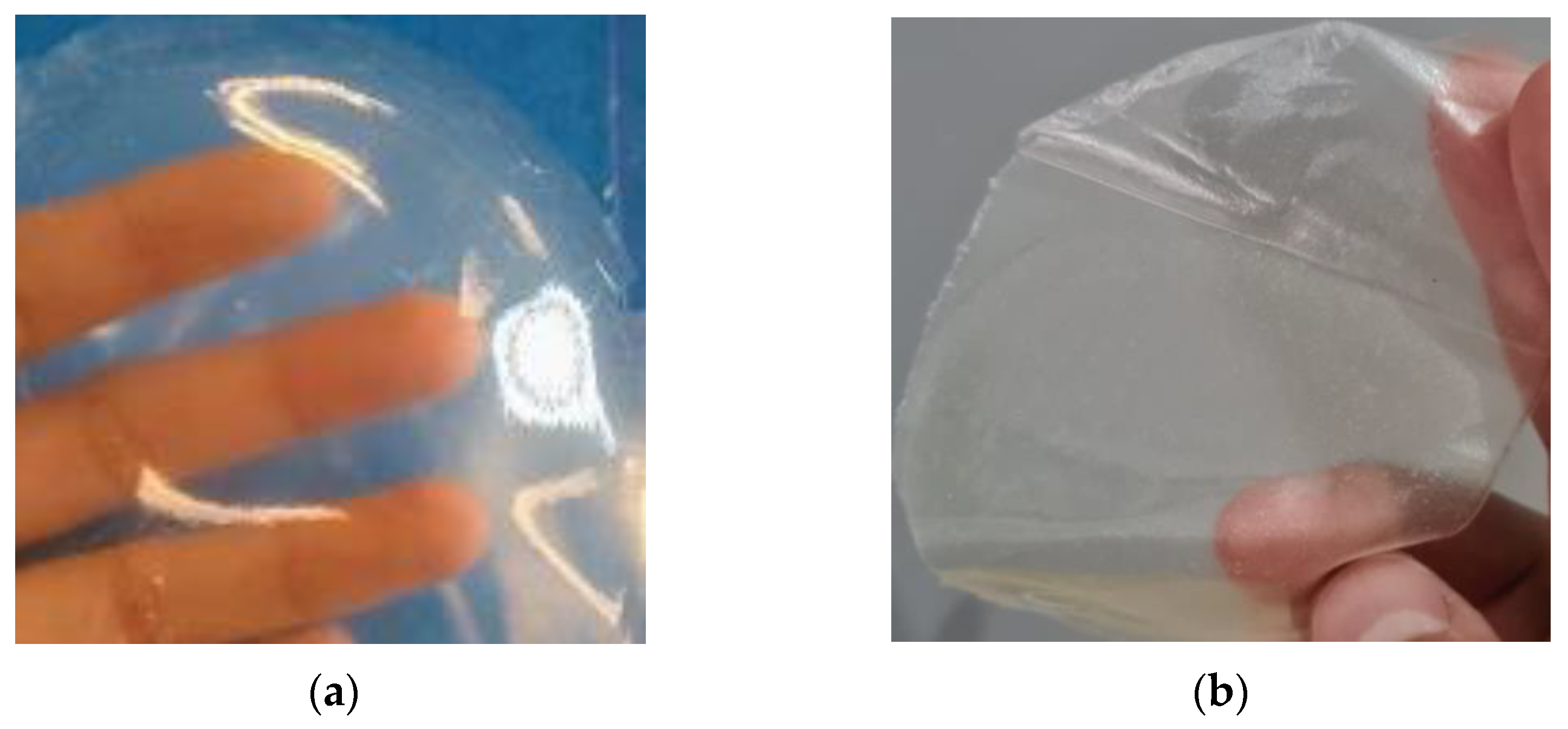 Polymers 15 02610 g001