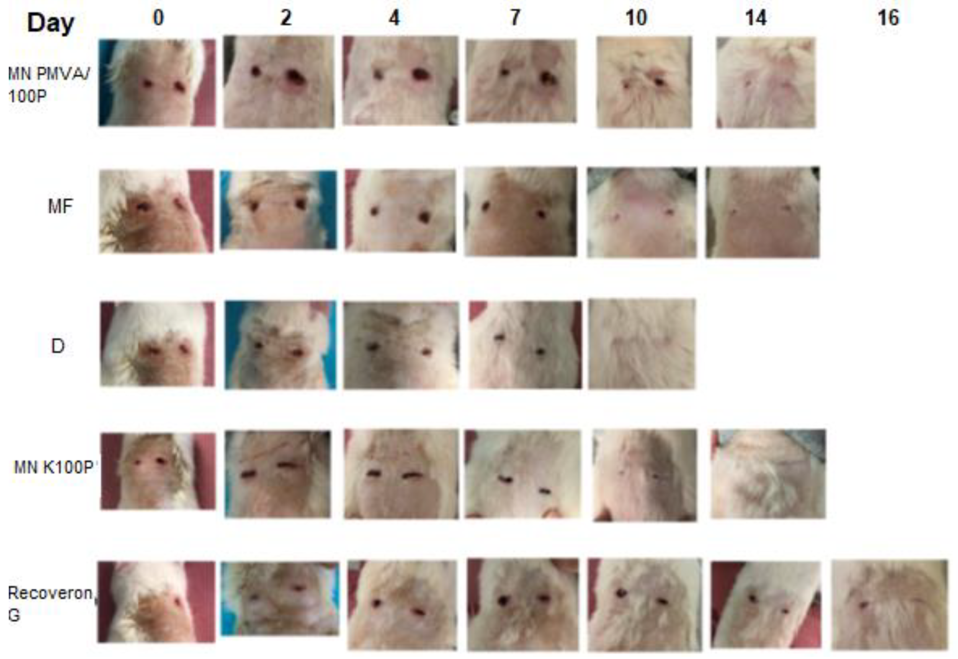 Polymers 15 02610 g005