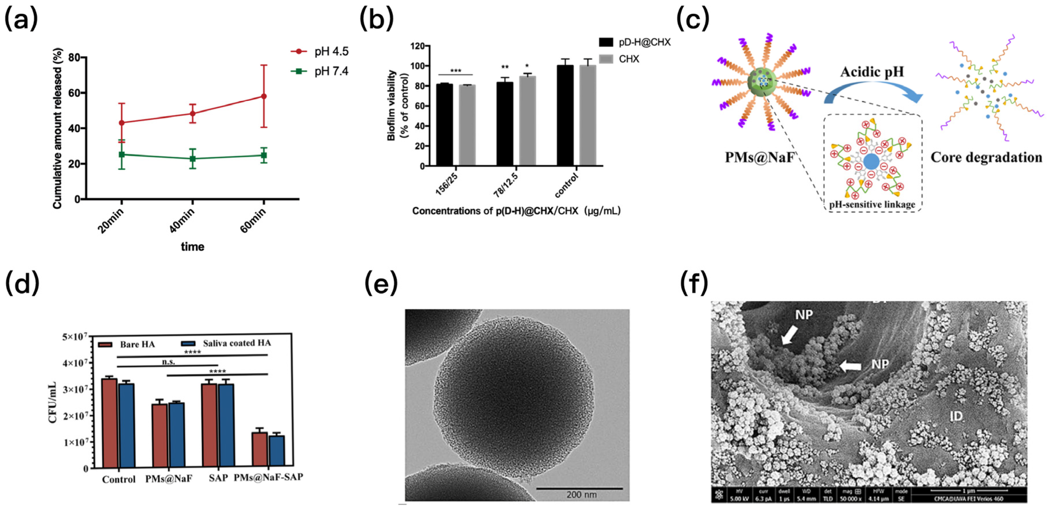 Polymers 15 02611 g006