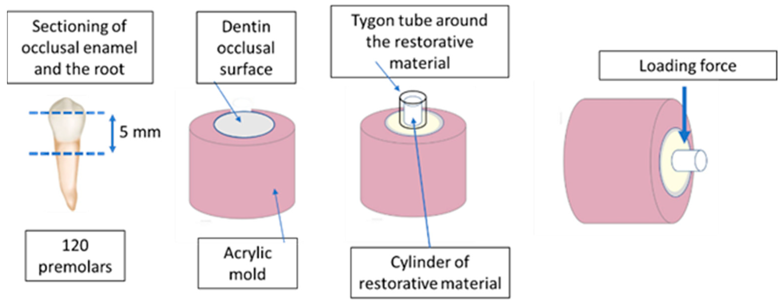 Polymers 15 02612 g002