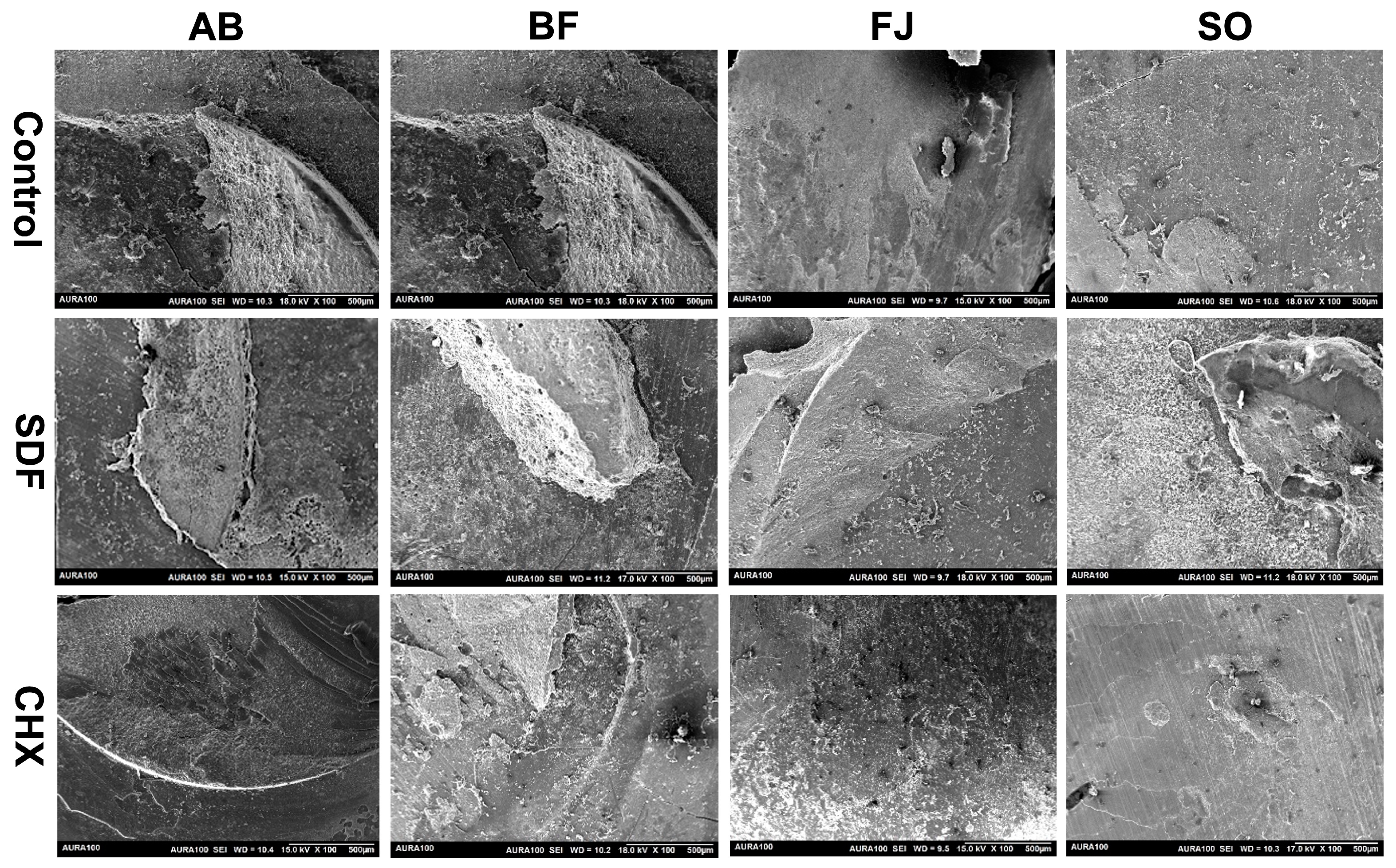 Polymers 15 02612 g004