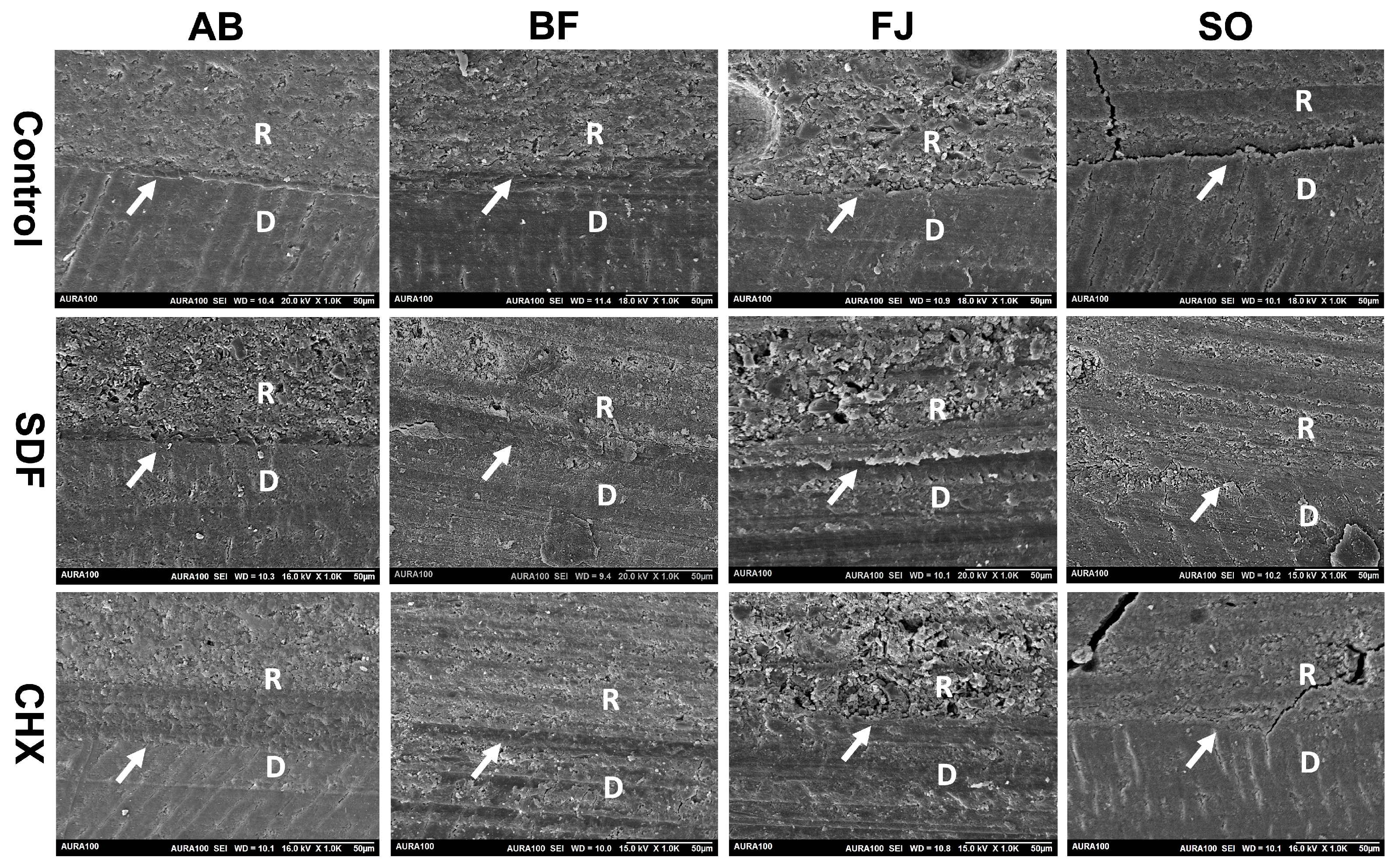 Polymers 15 02612 g005