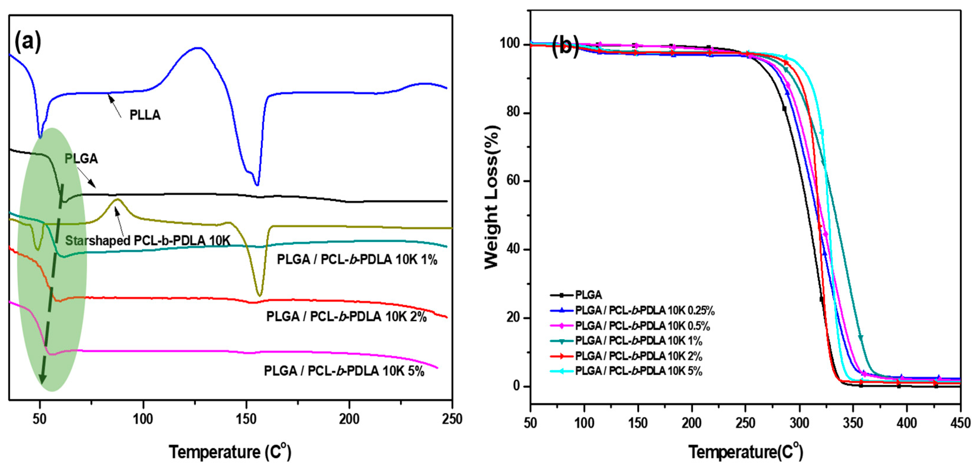 Polymers 15 02617 g007