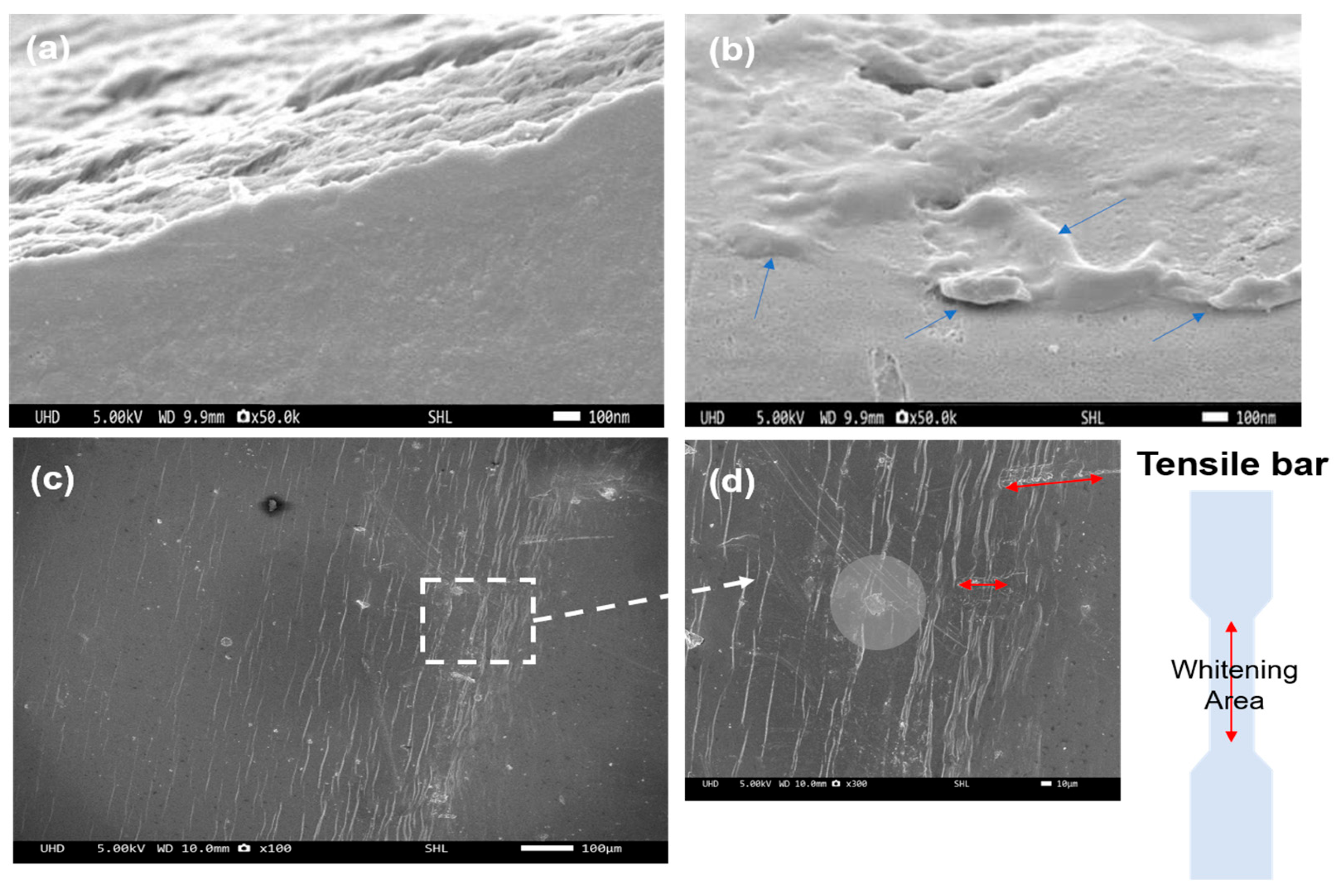Polymers 15 02617 g010