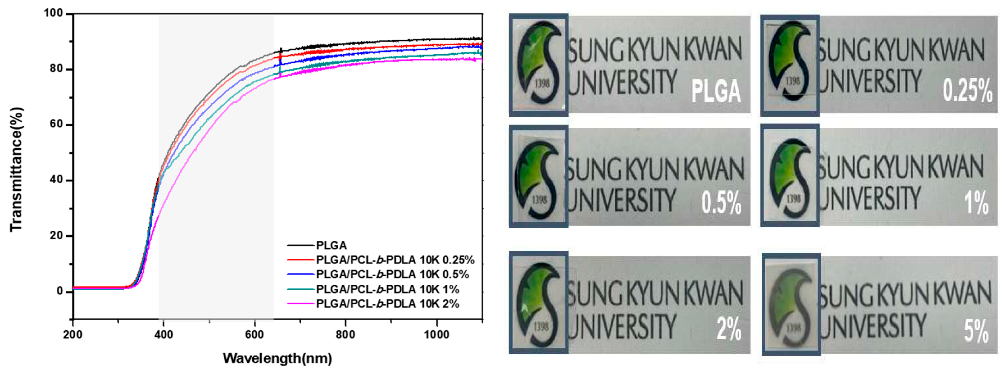 Polymers 15 02617 g011
