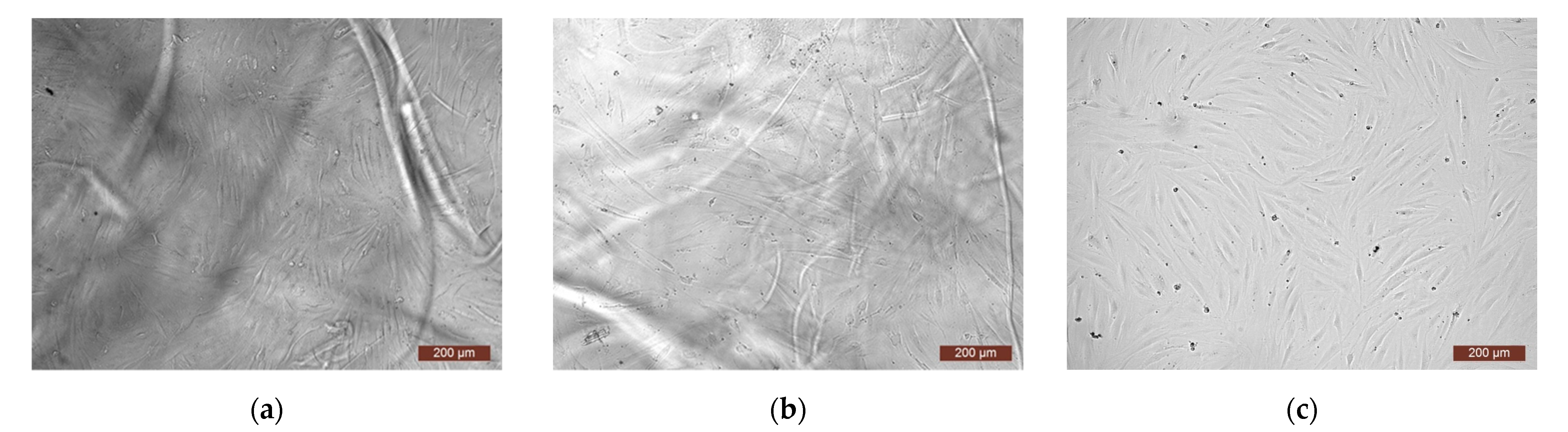 Polymers 15 02618 g005 Polymers 15 02618 g005