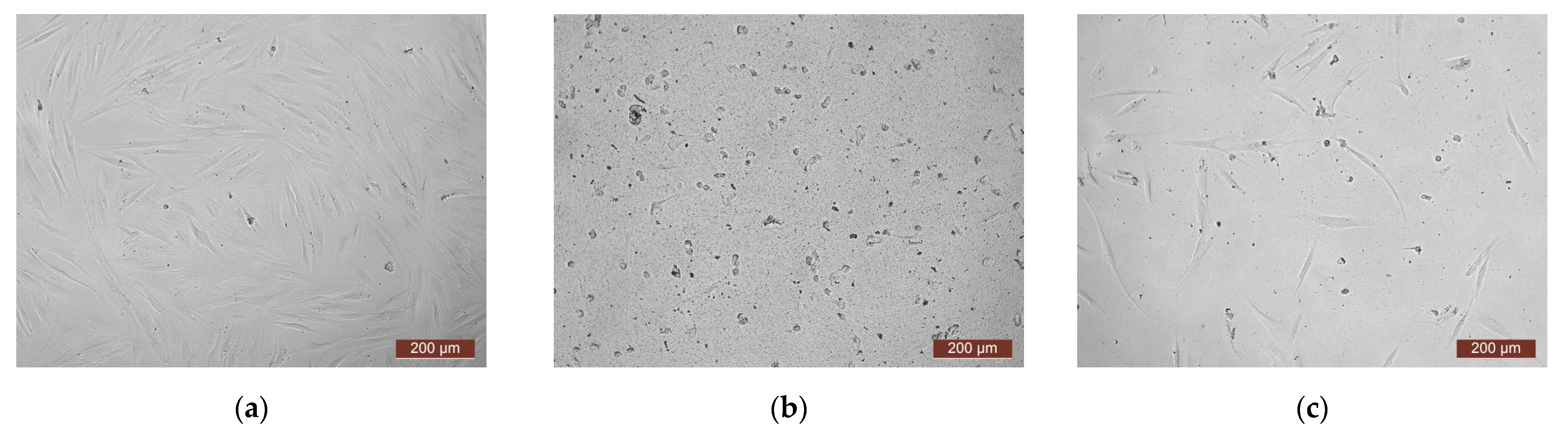 Polymers 15 02618 g006 Polymers 15 02618 g006