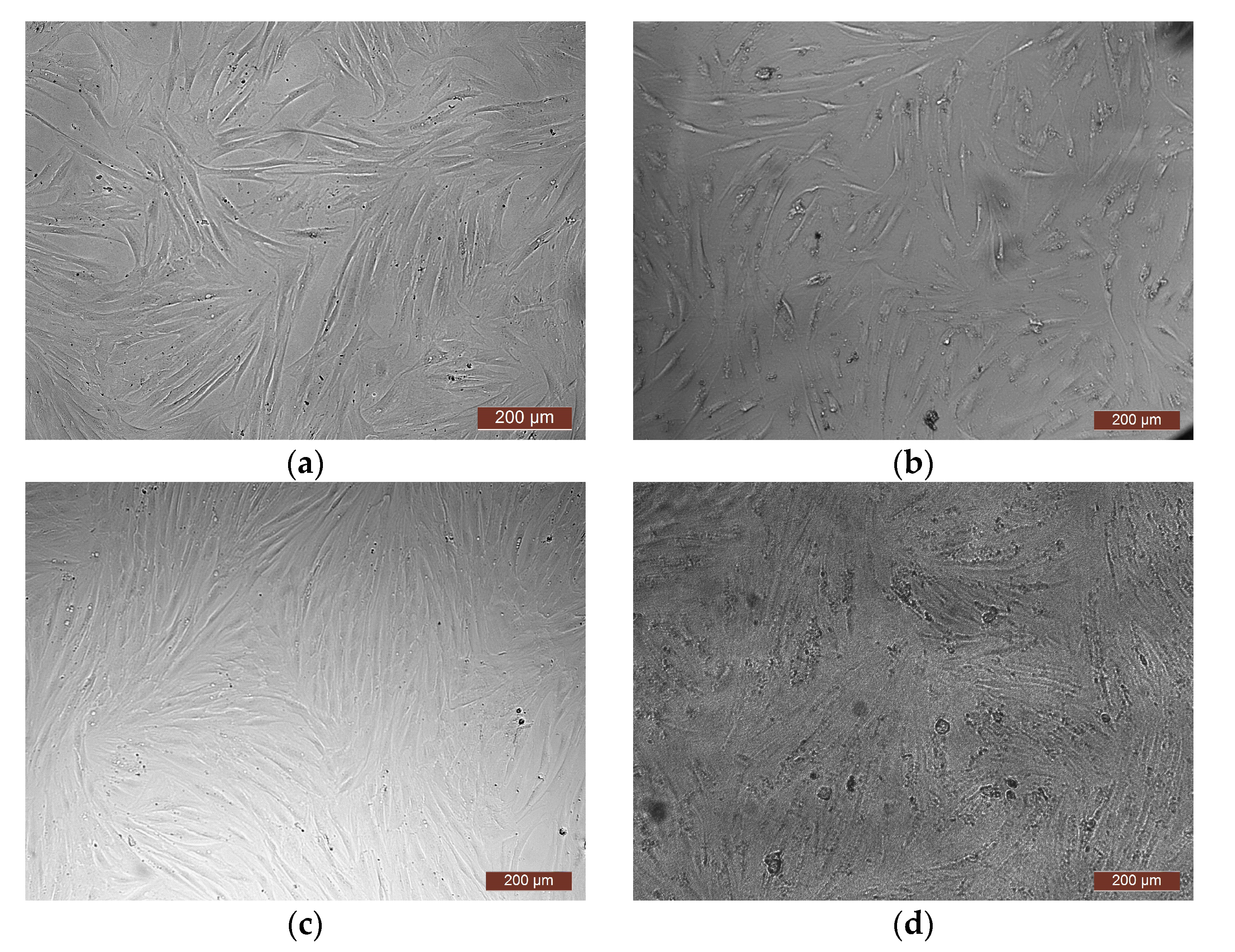 Polymers 15 02618 g007 Polymers 15 02618 g007