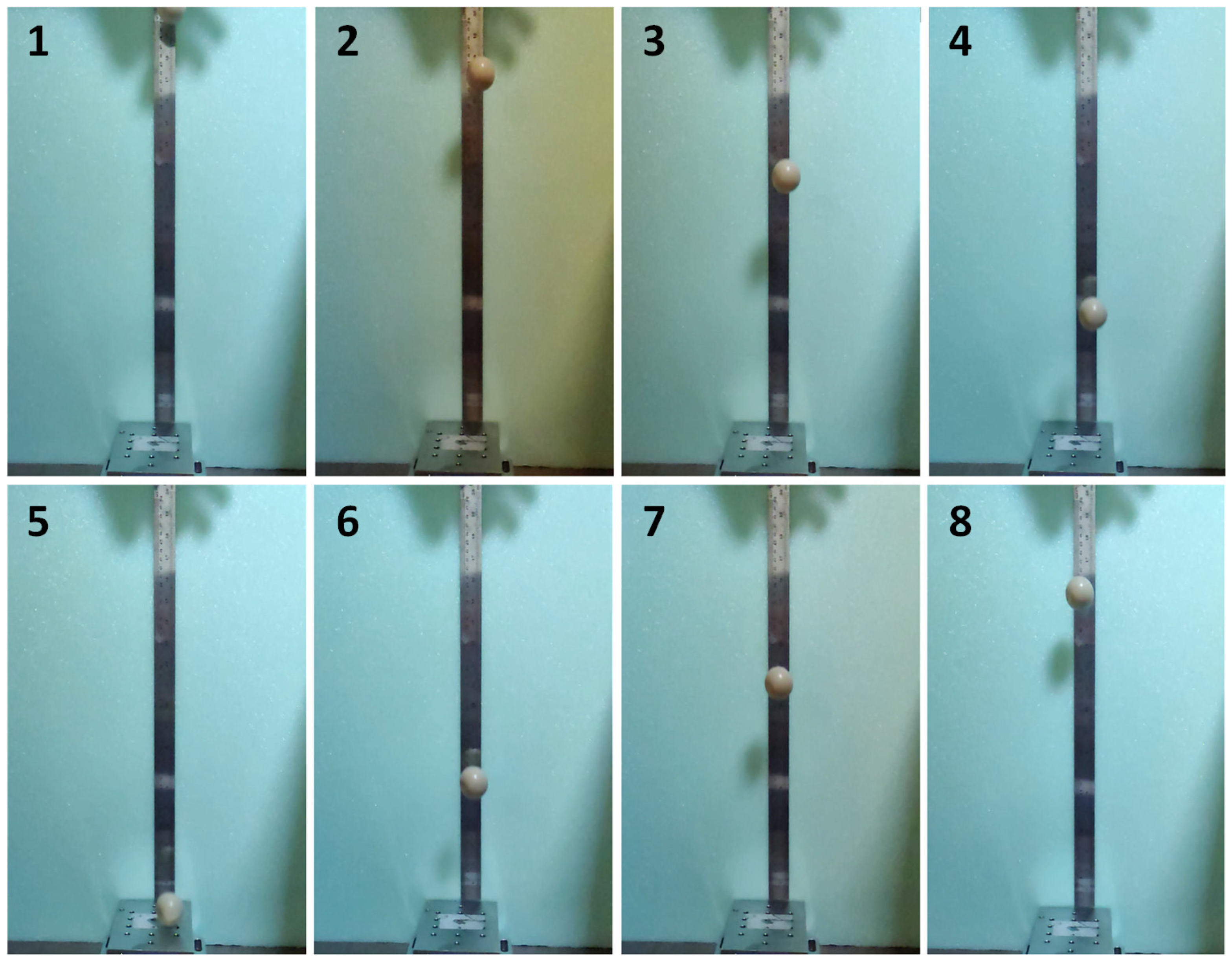 Polymers 15 02620 g007