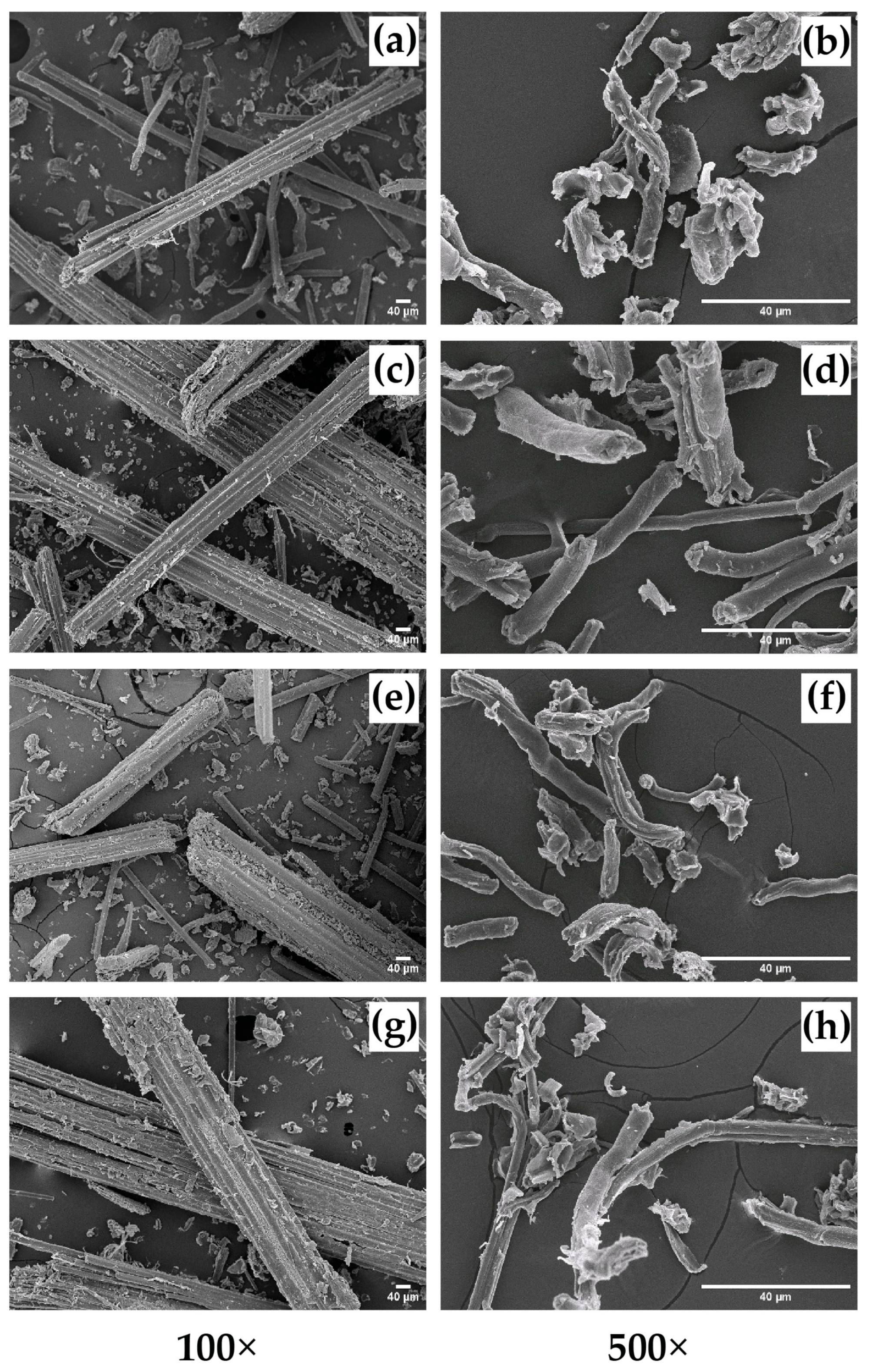 Polymers 15 02622 g006 Polymers 15 02622 g006