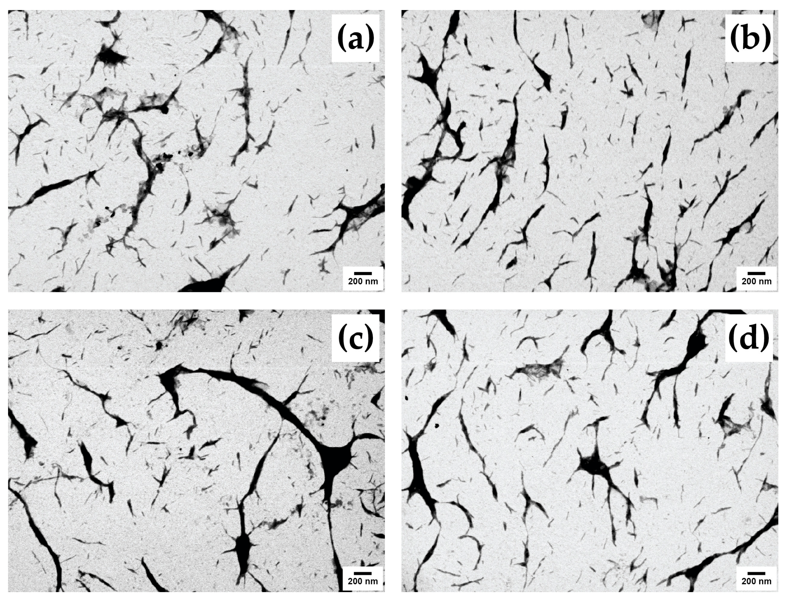 Polymers 15 02622 g007 Polymers 15 02622 g007