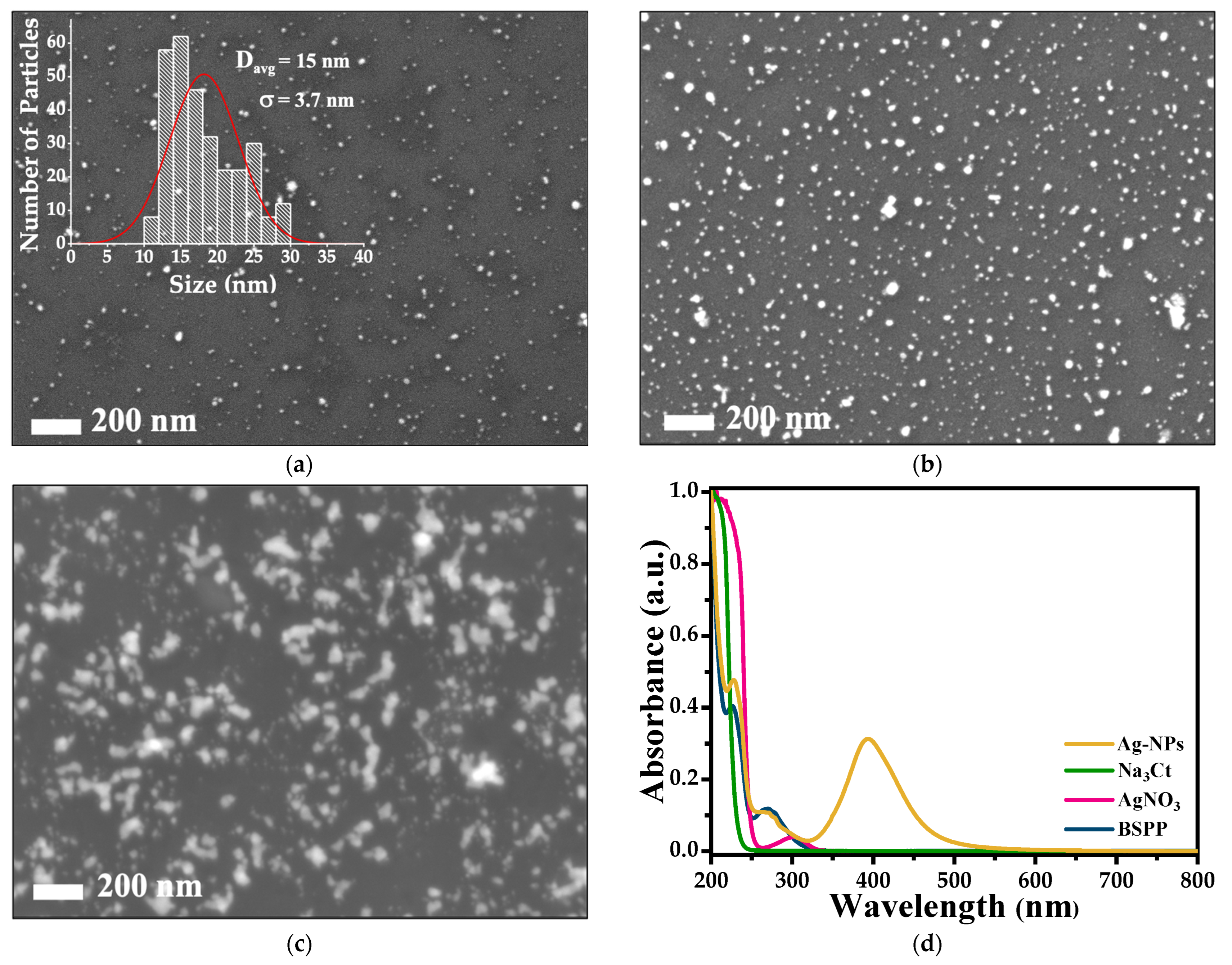 Polymers 15 02624 g002
