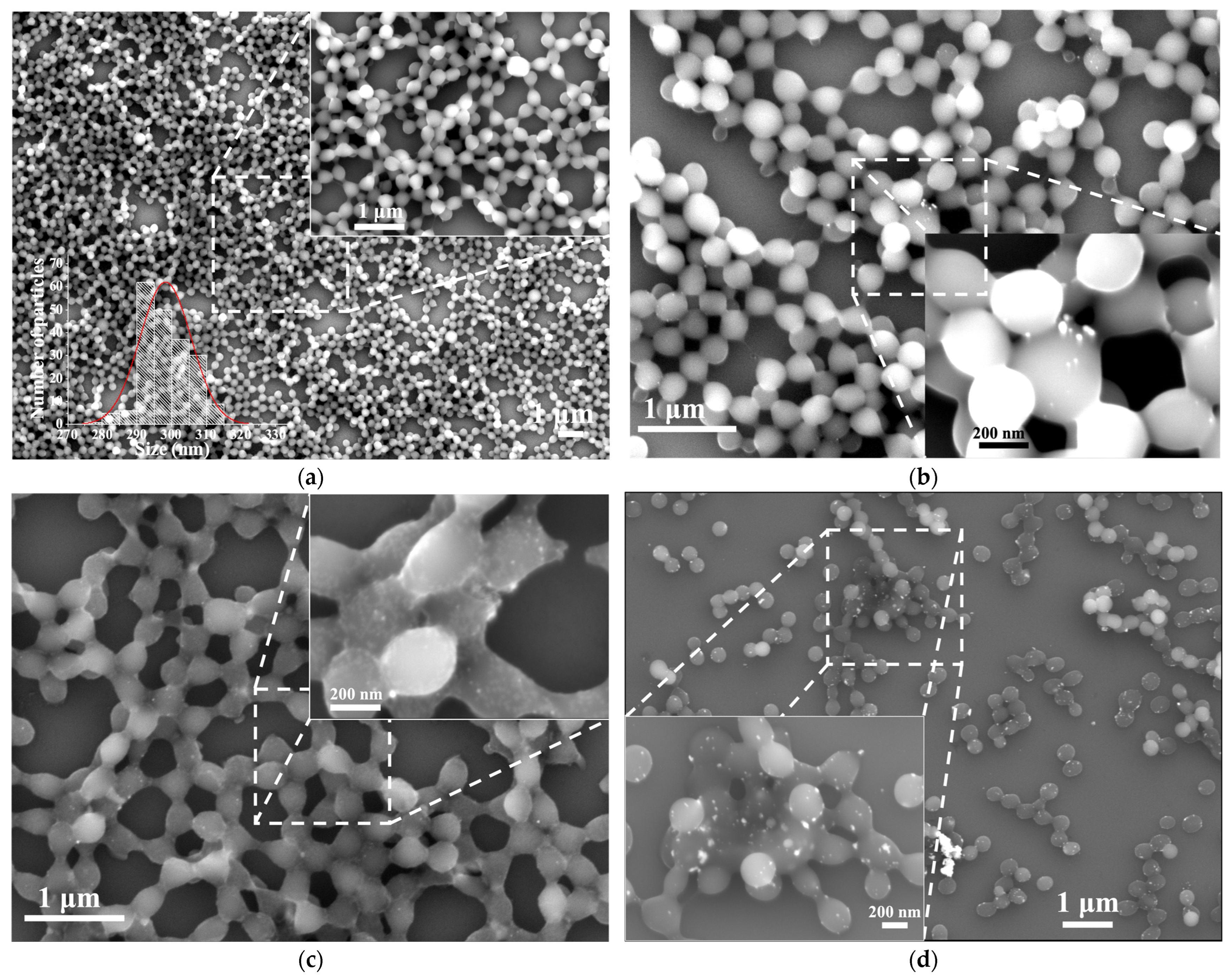 Polymers 15 02624 g003