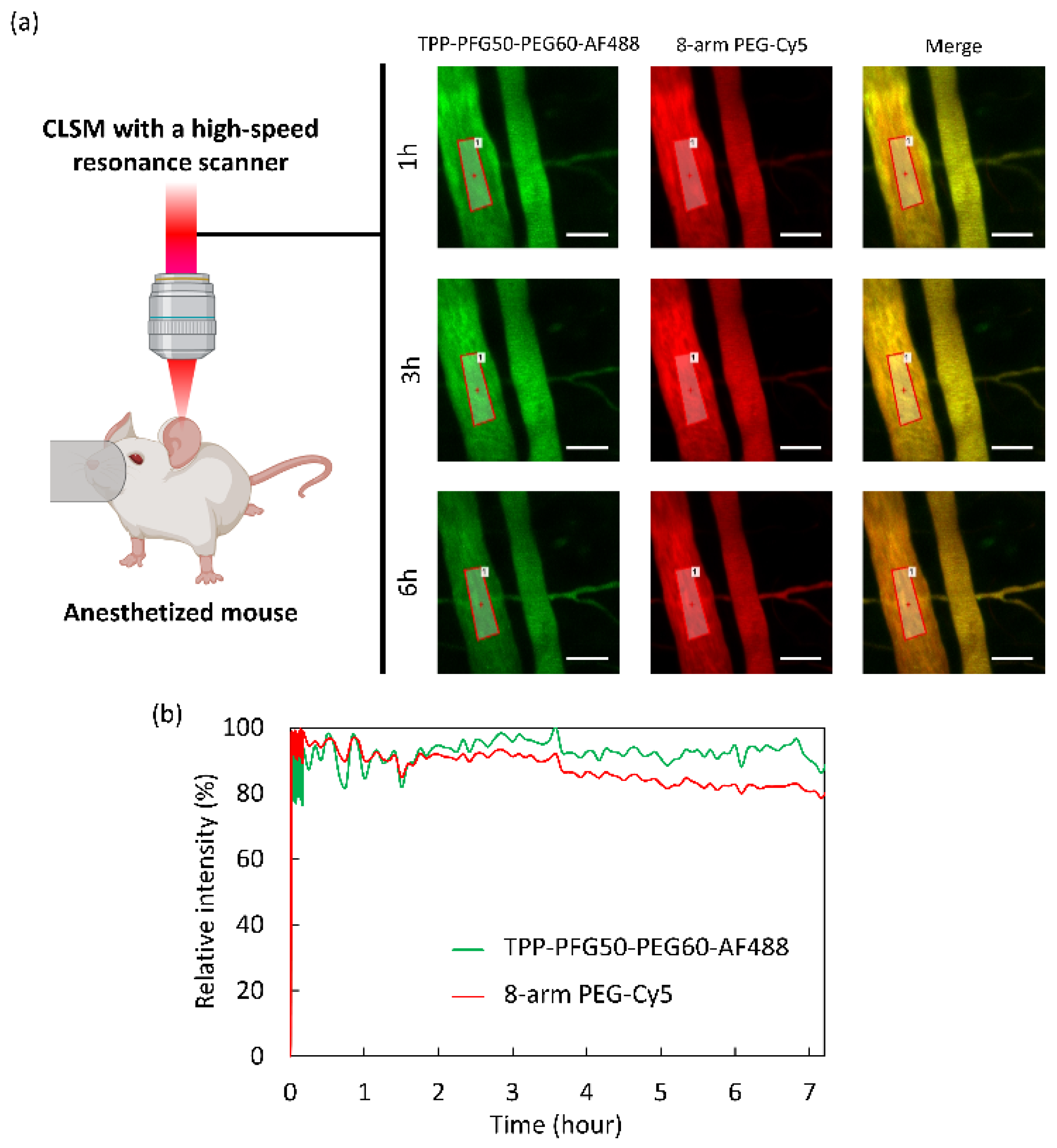 Polymers 15 02626 g003