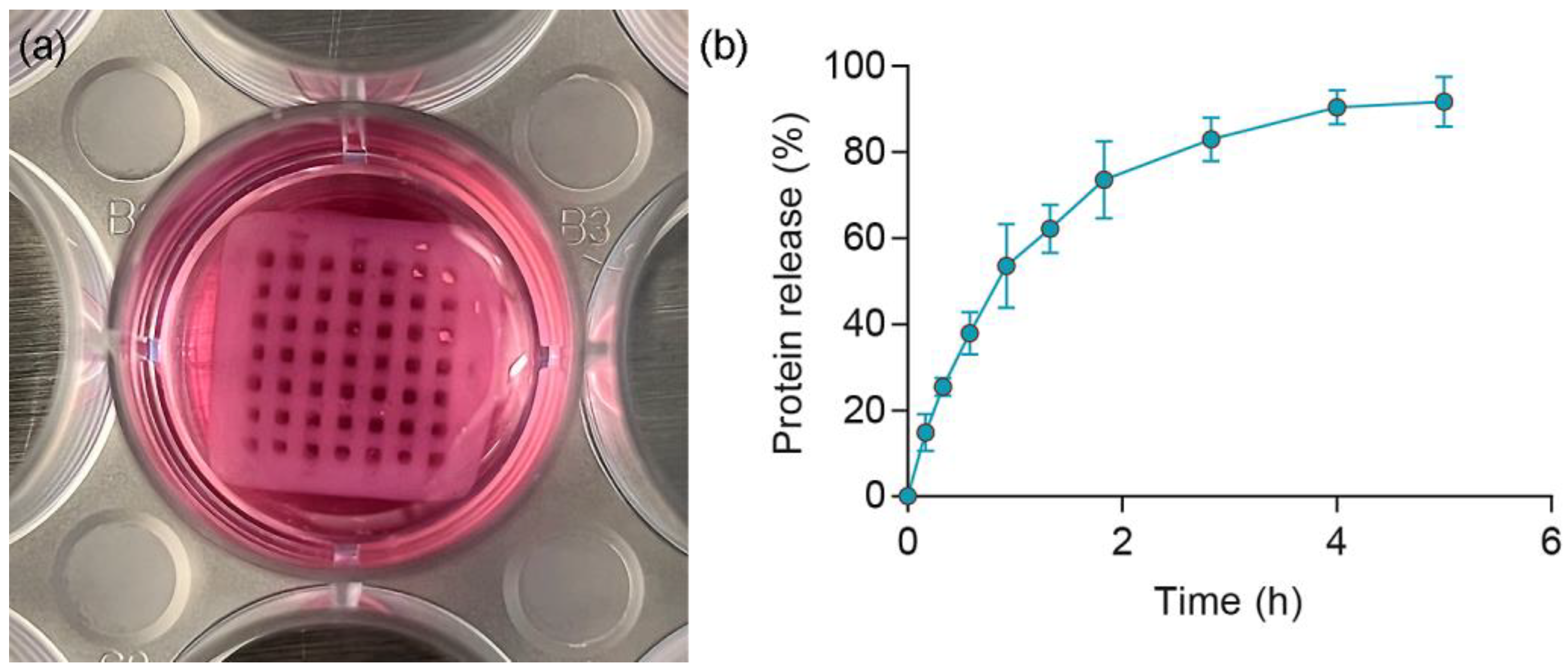 Polymers 15 02627 g005