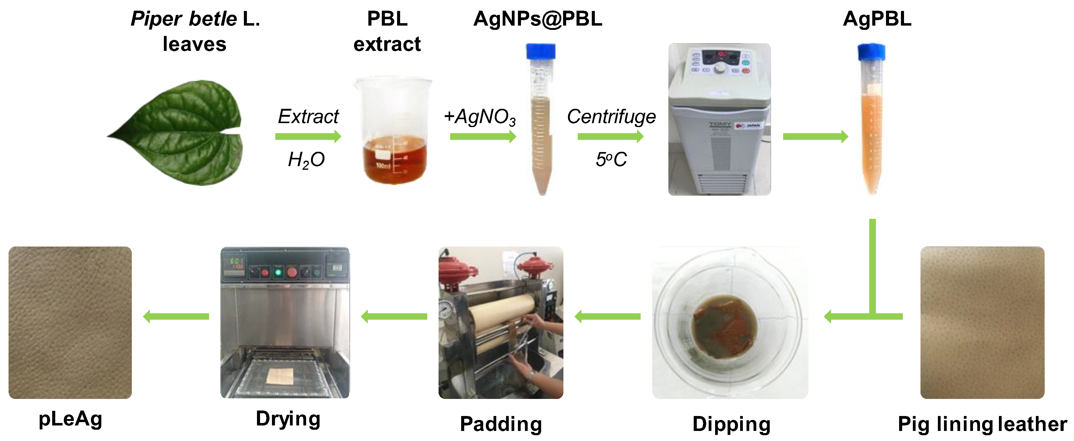 Polymers 15 02634 g001