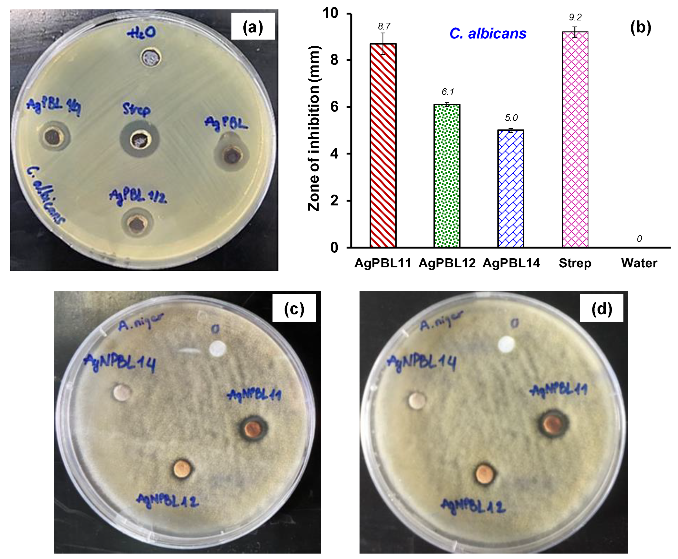 Polymers 15 02634 g003