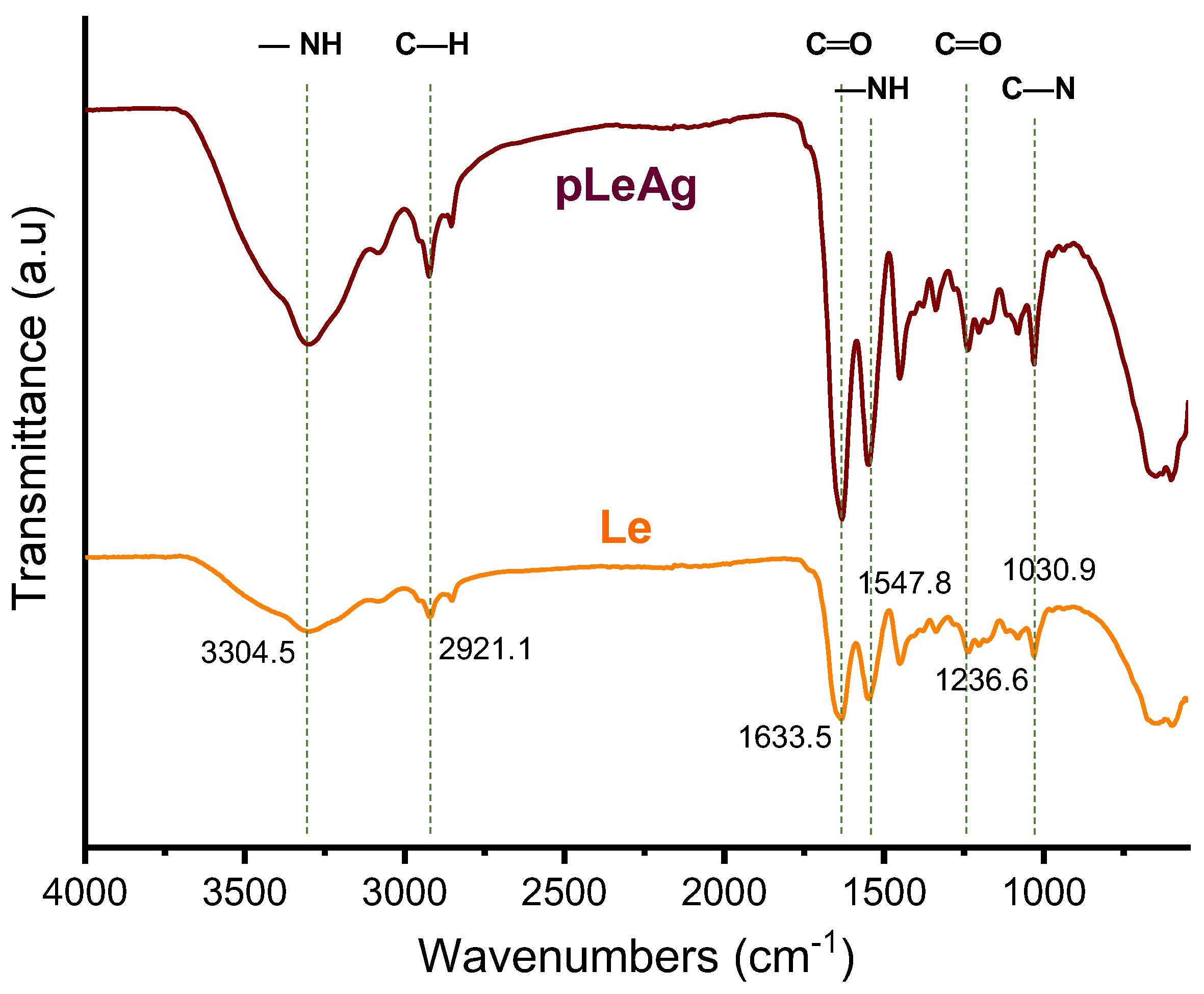 Polymers 15 02634 g005